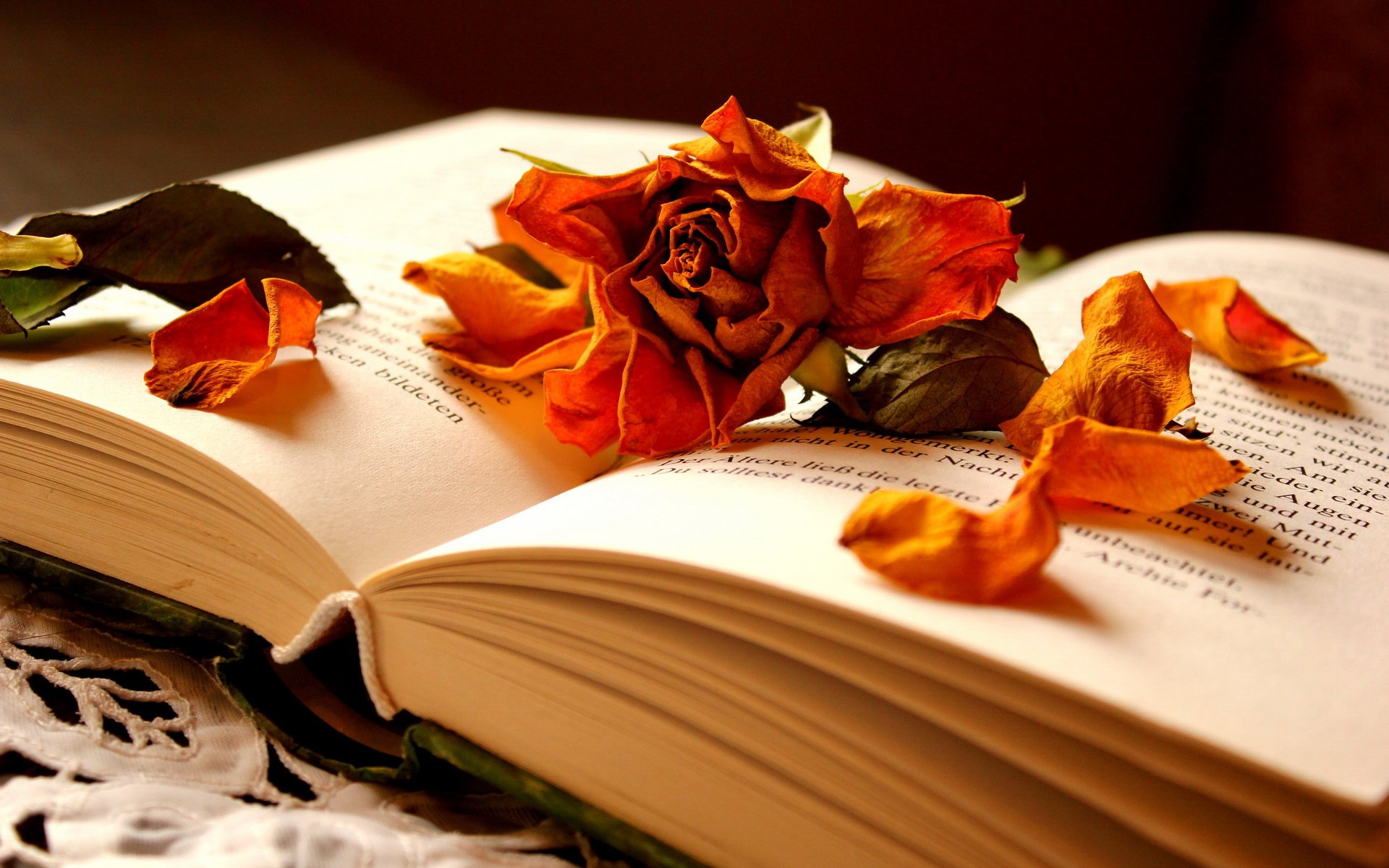 小清新,静物写真,书,1月15日,儿童桌面专用