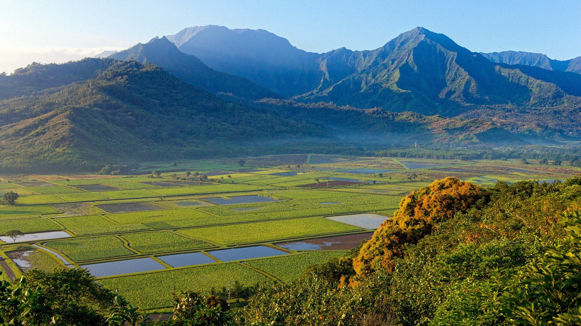 风景,夏威夷,儿童桌面专用
