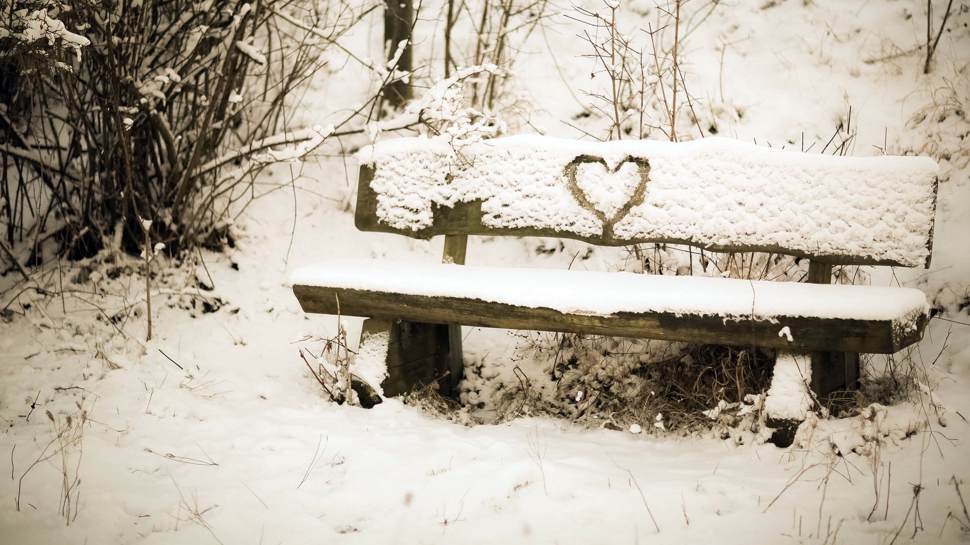 爱情美图,唯美温馨,雪地的爱情