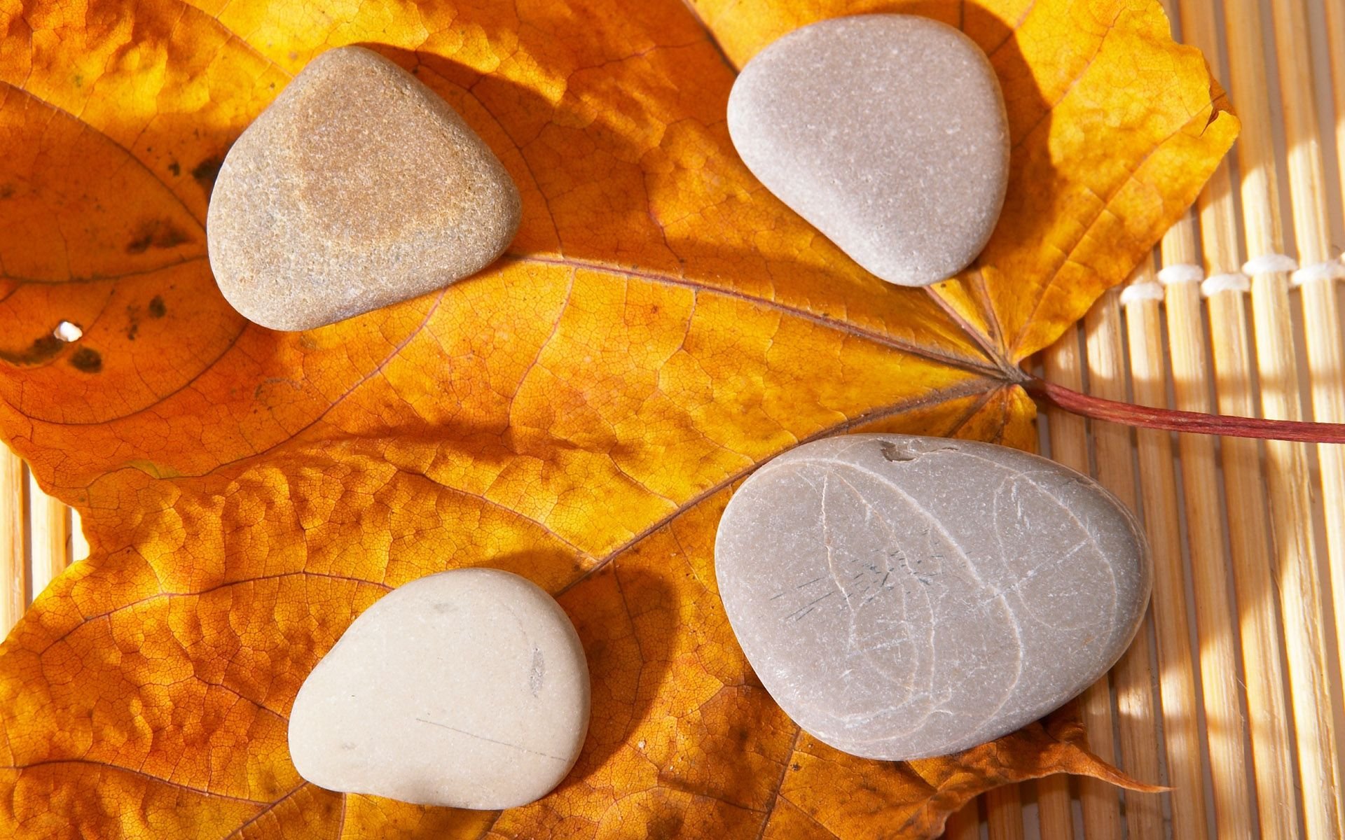 小清新,静物写真,石头,1月17日,儿童桌面专用