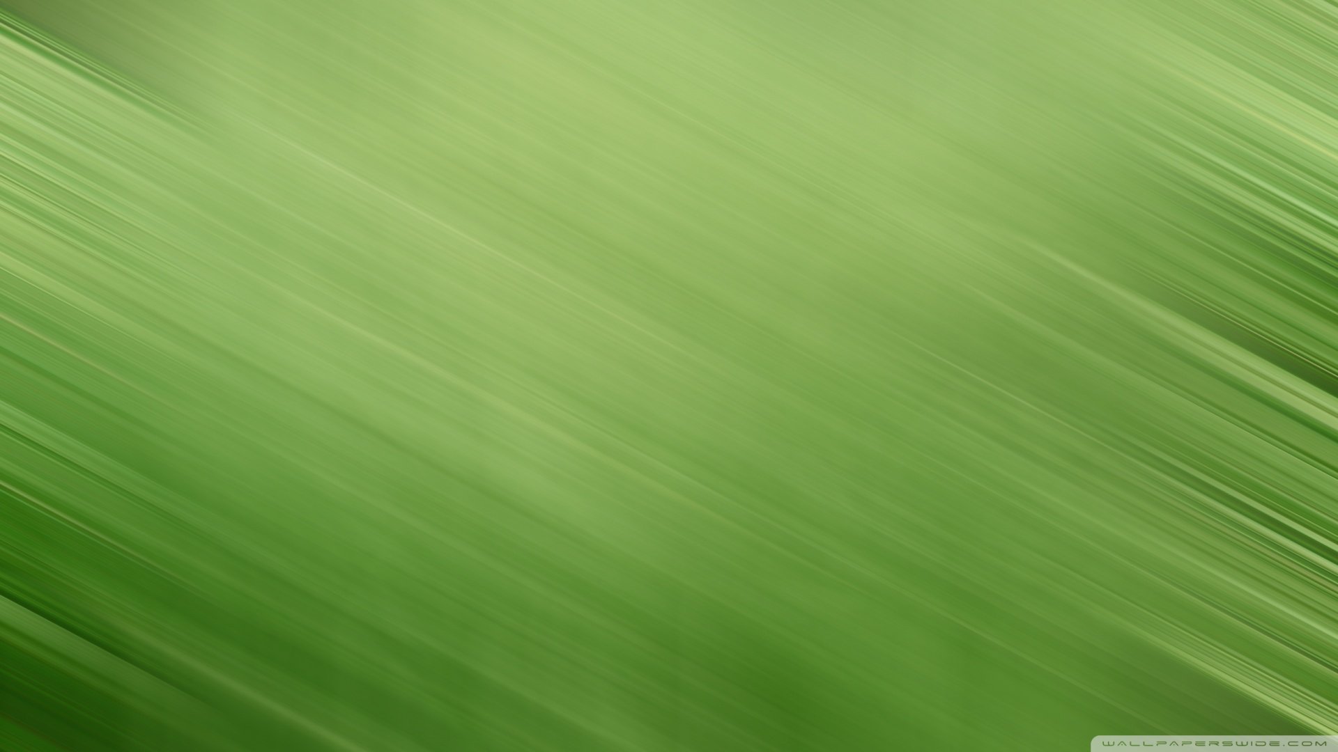 创意,绿色,简约,儿童桌面专用