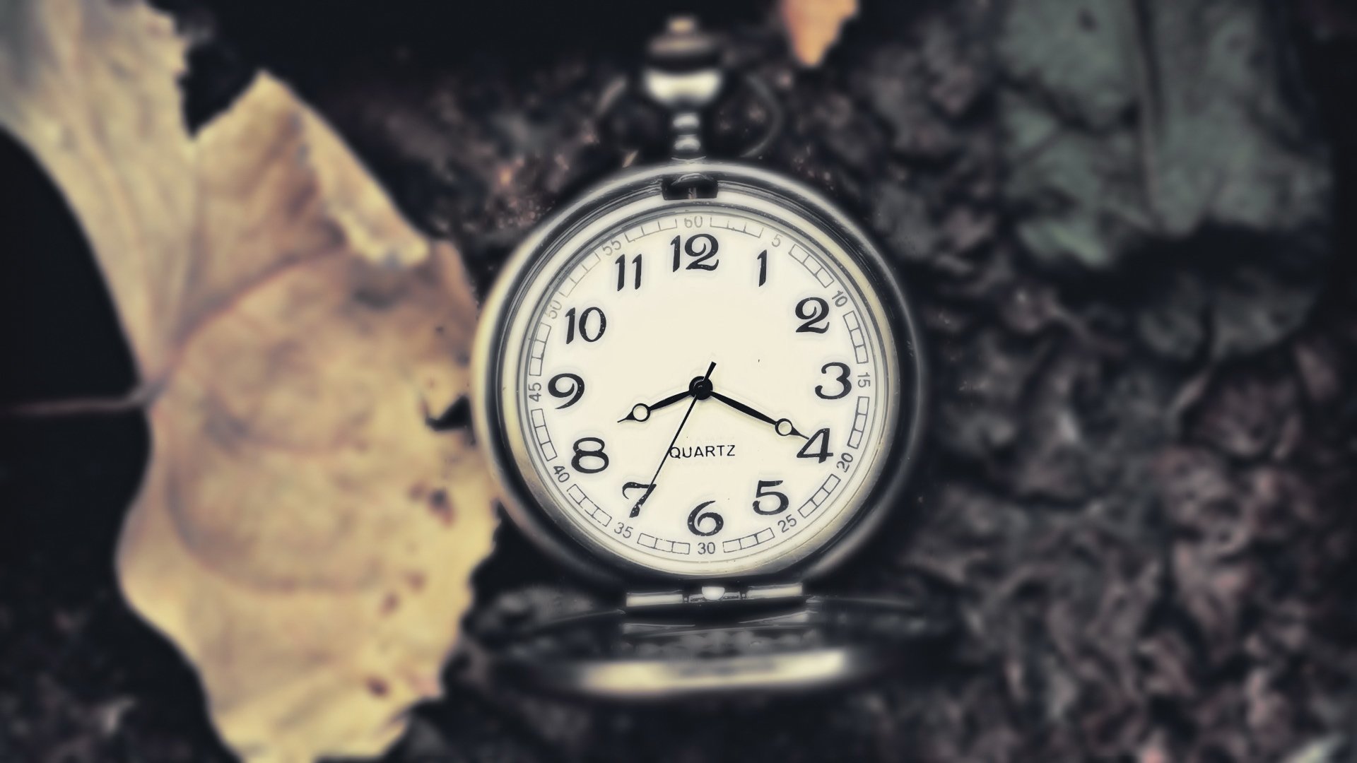 小清新,静物写真,表