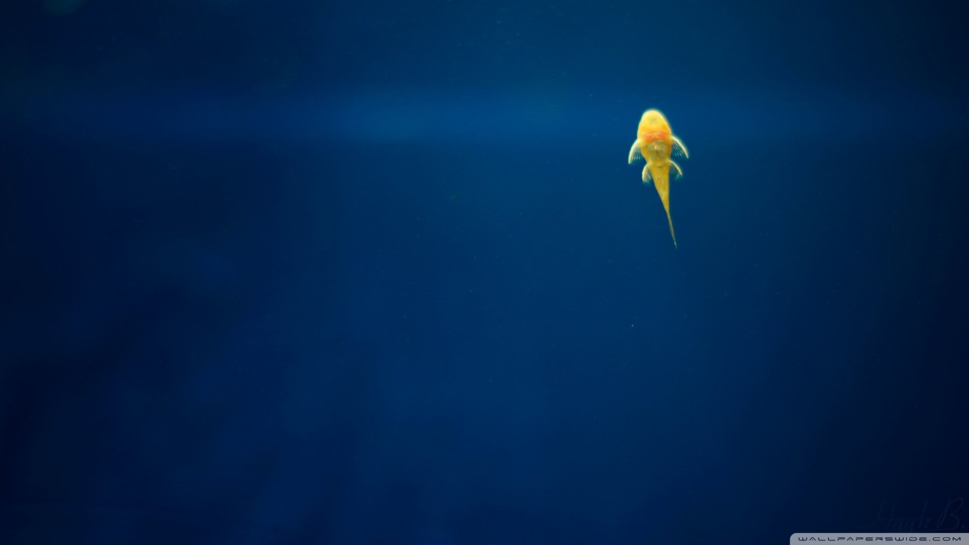 小清新,清新,简约,儿童桌面专用