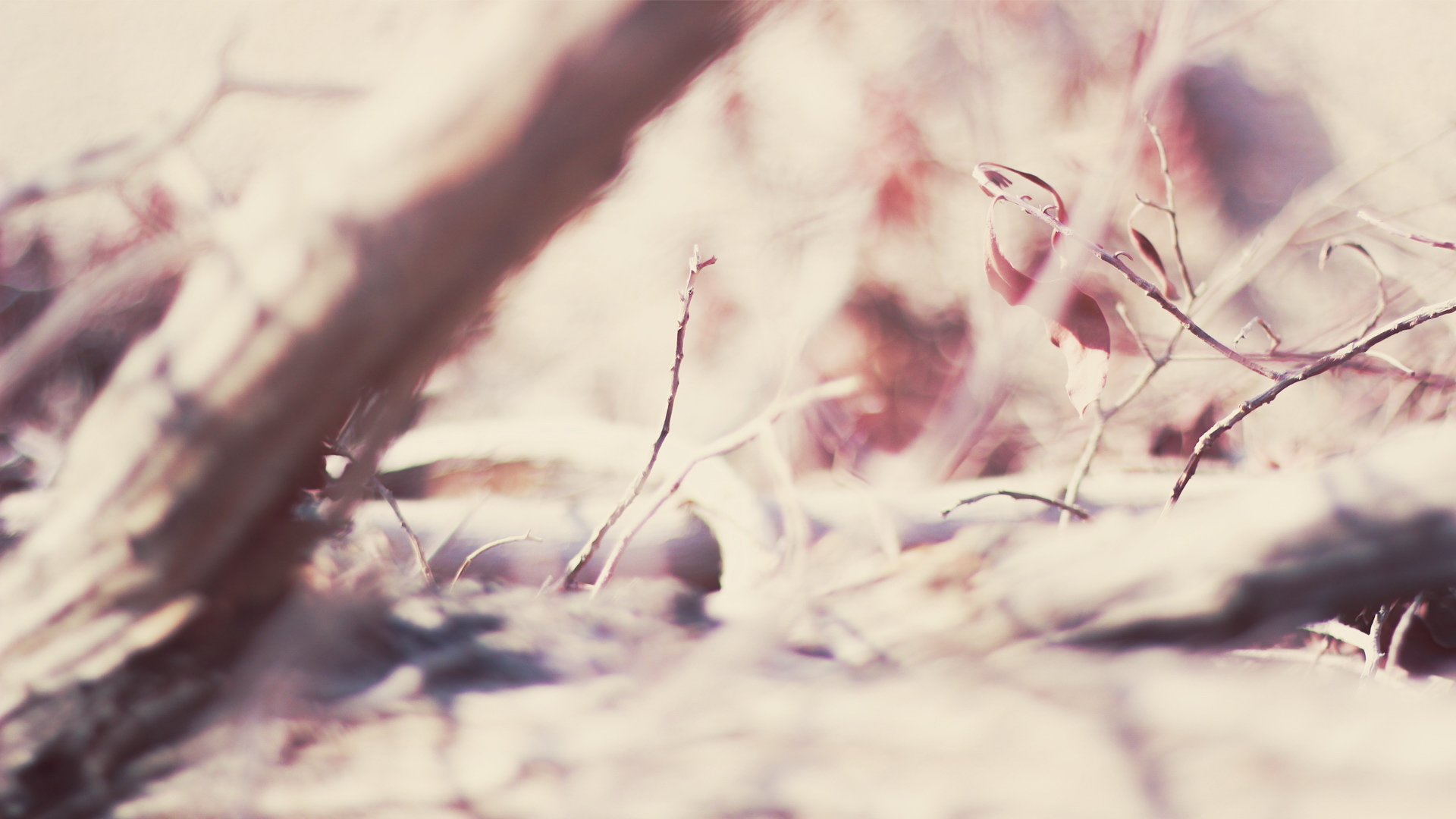 小清新,静物写真