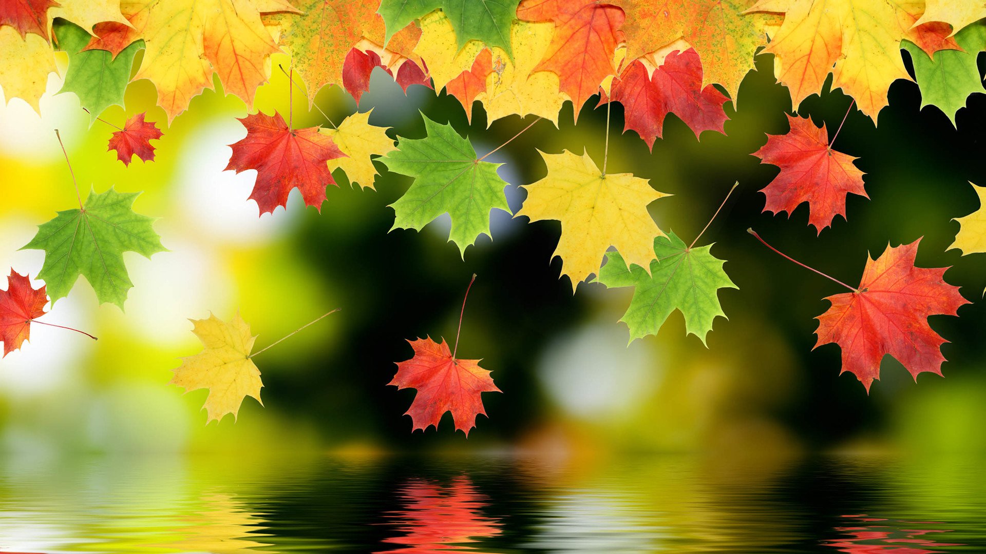 小清新,温馨一刻,儿童桌面专用