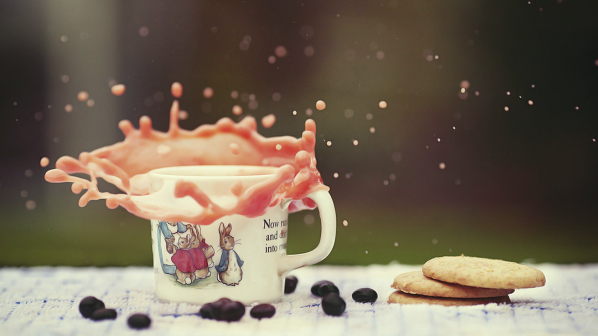 小清新,静物写真,儿童桌面专用