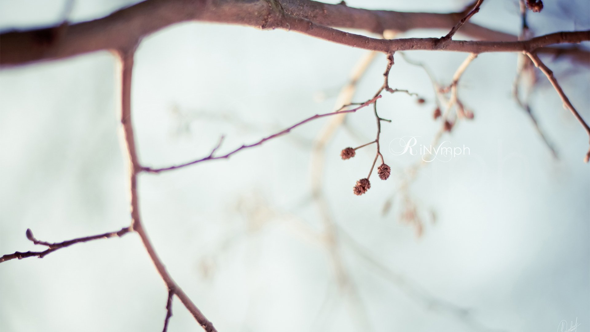 小清新,清新淡雅,儿童桌面专用