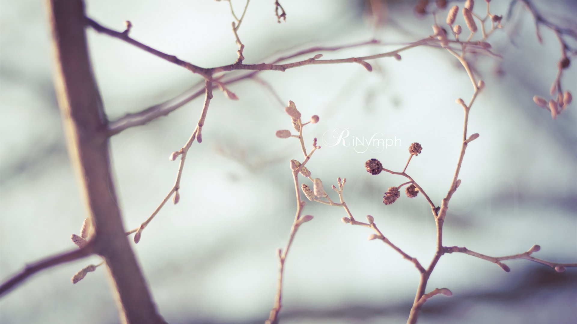 小清新,清新淡雅