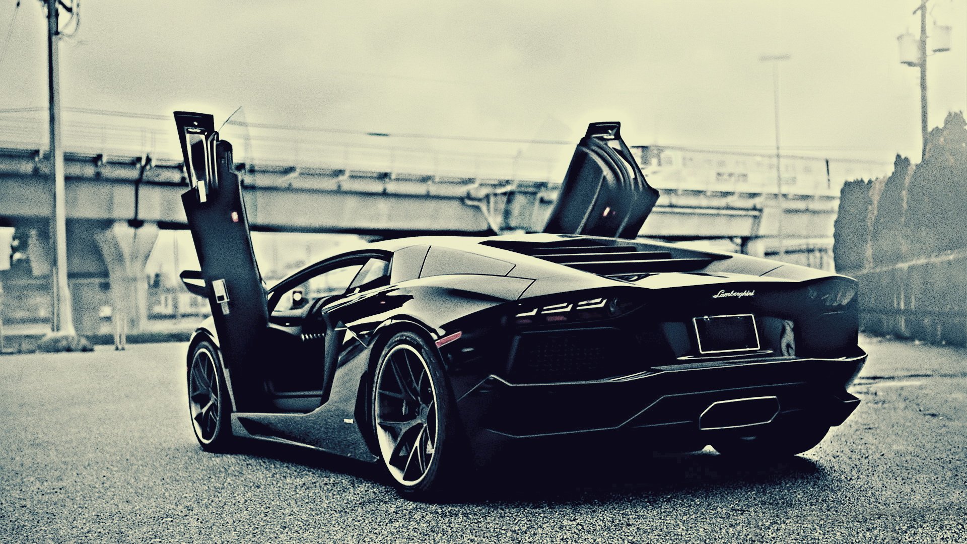 汽车,兰博基尼,儿童桌面专用