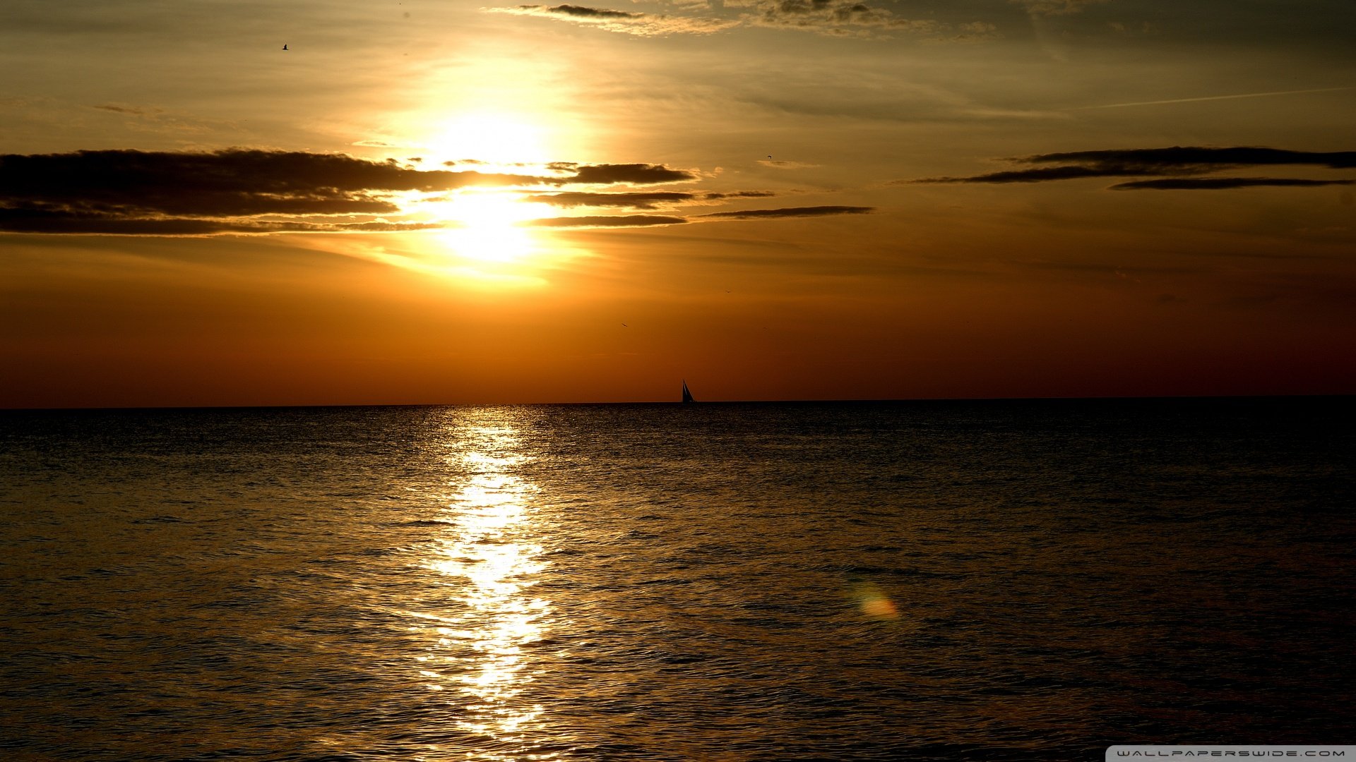 风景,落日余晖,儿童桌面专用