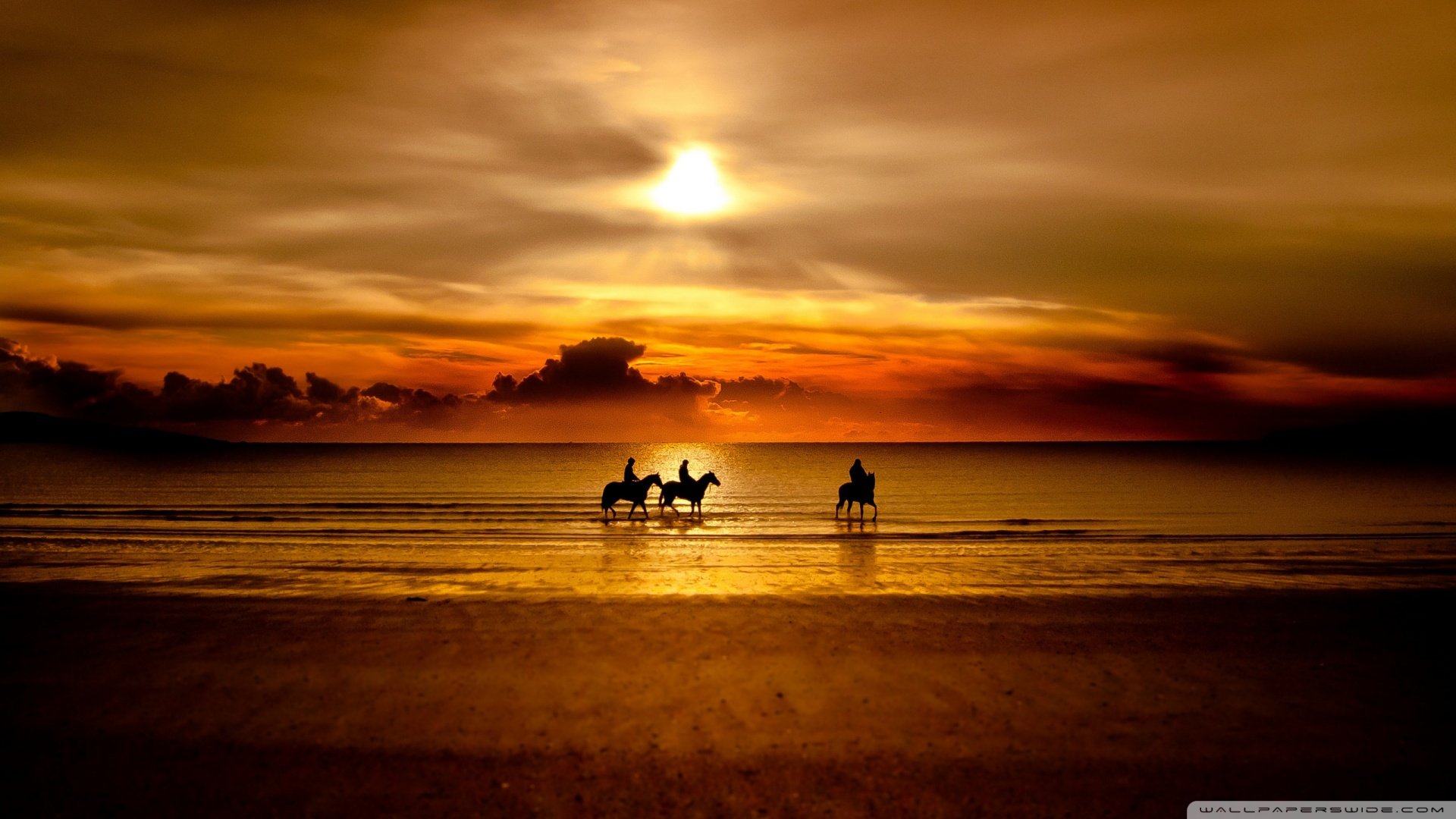 风景,落日余晖,儿童桌面专用