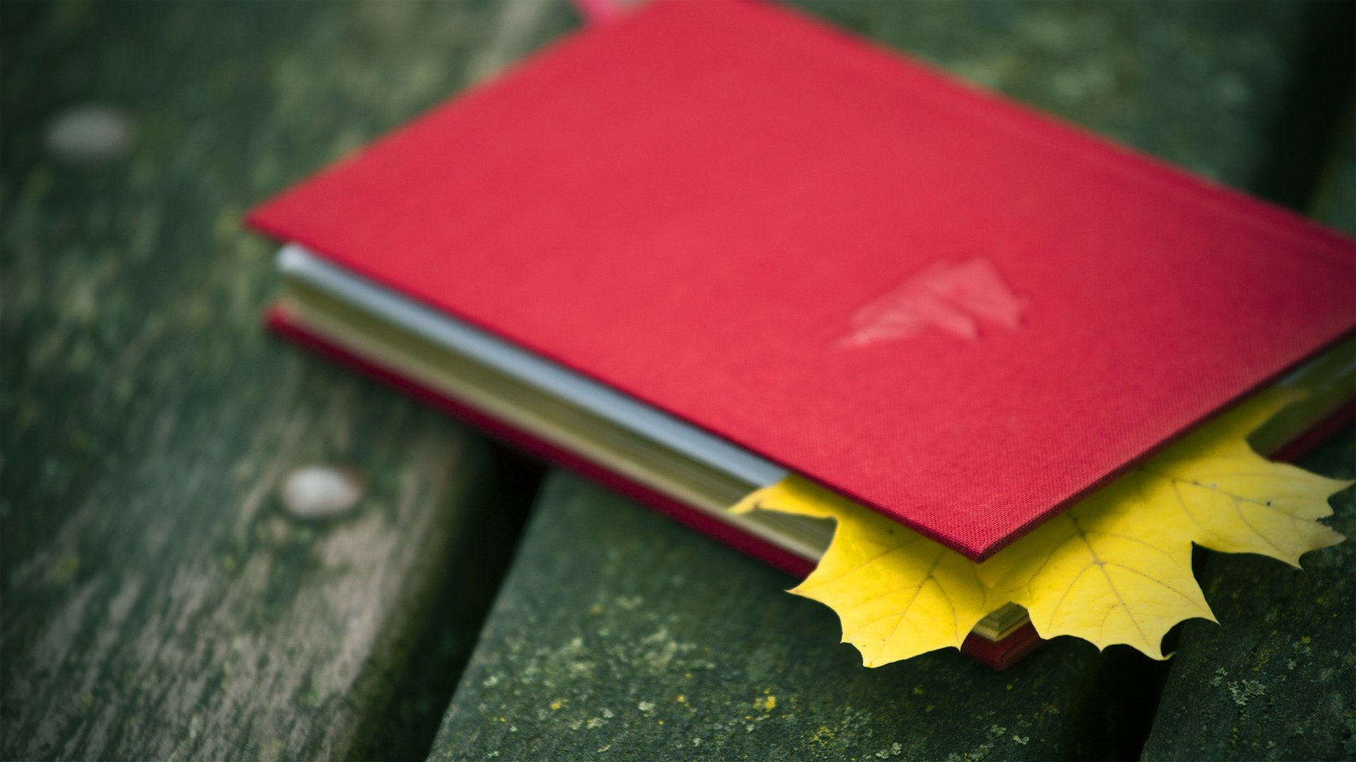 小清新,静物写真,叶子,本,书,儿童桌面专用