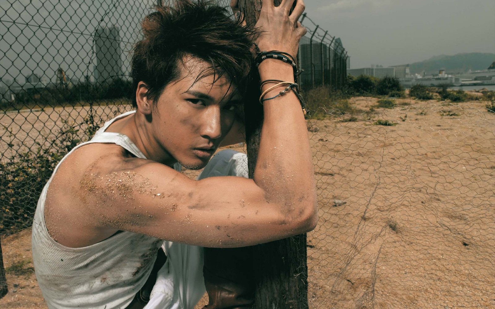 港台,男明星,关智斌,1月29日