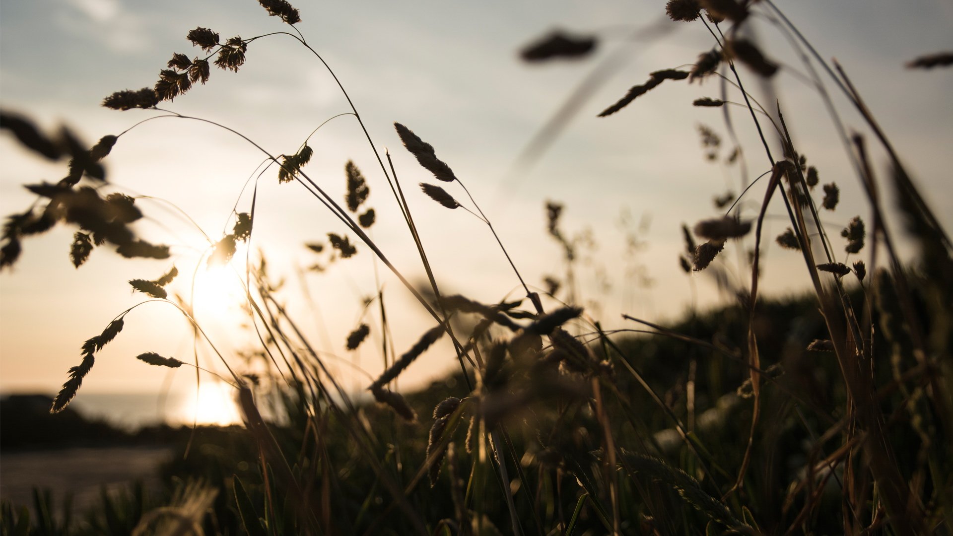 小清新,温馨一刻
