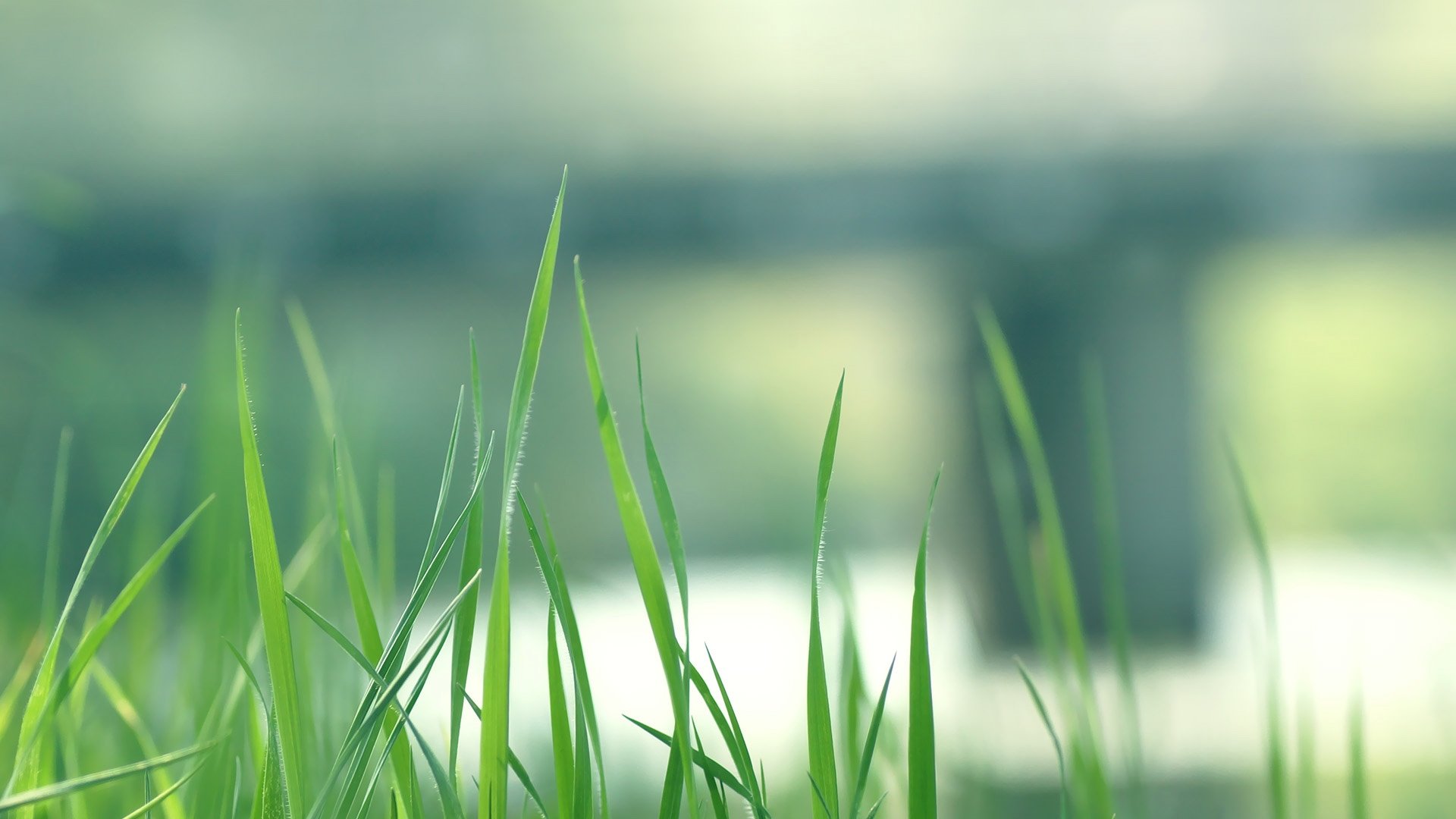 小清新,护眼壁纸,儿童桌面专用