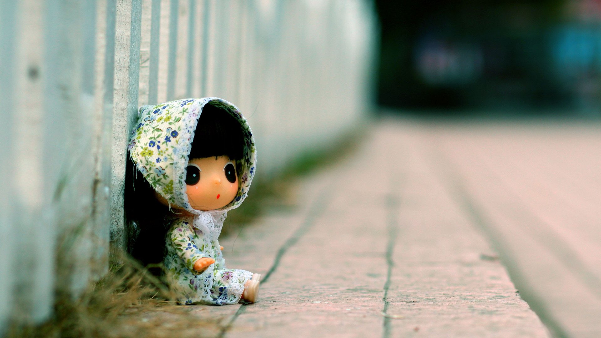 小清新,静物写真,迷糊娃娃,一月十四日,儿童桌面专用