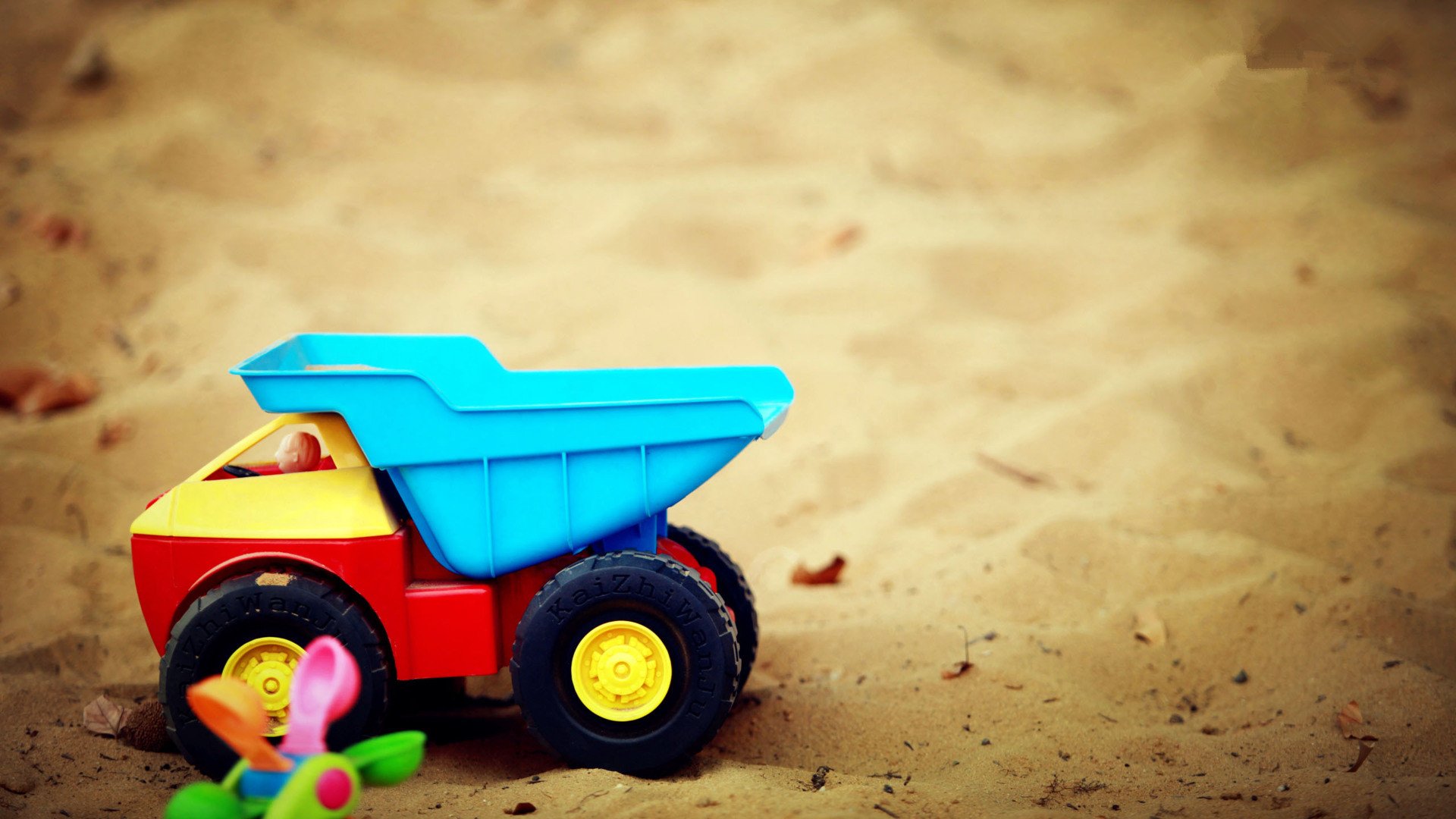 小清新,静物写真,1月18日,儿童桌面专用