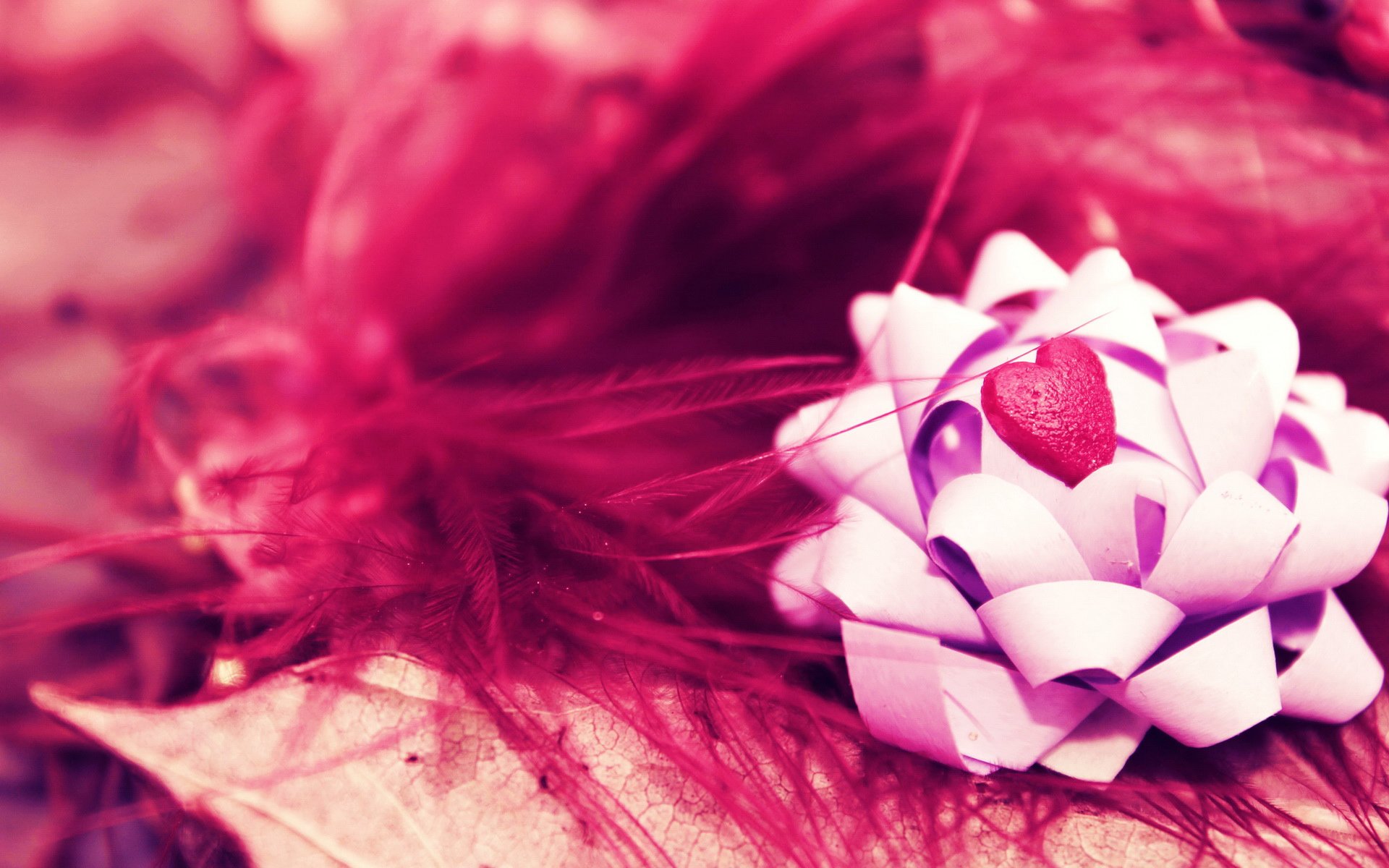 小清新,静物写真,1月15日,儿童桌面专用