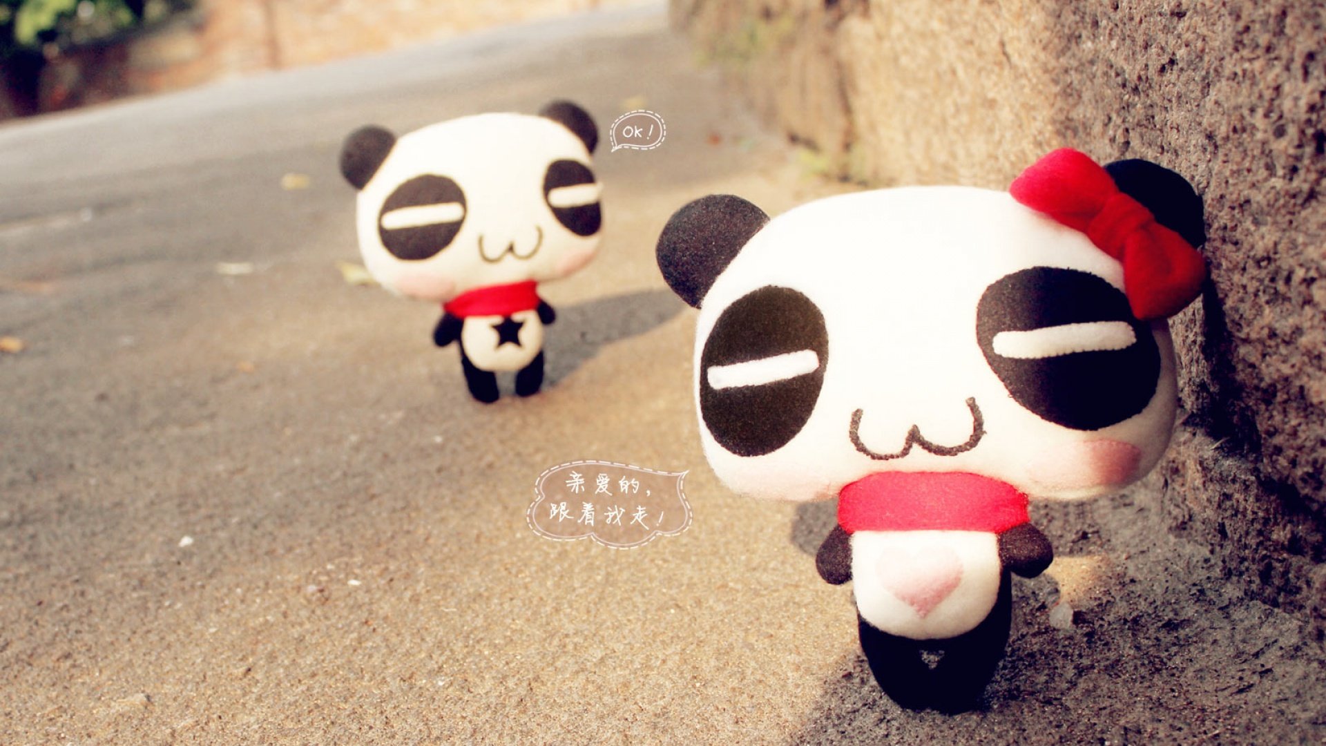 小清新,温馨一刻,玩偶,1月16日,儿童桌面专用