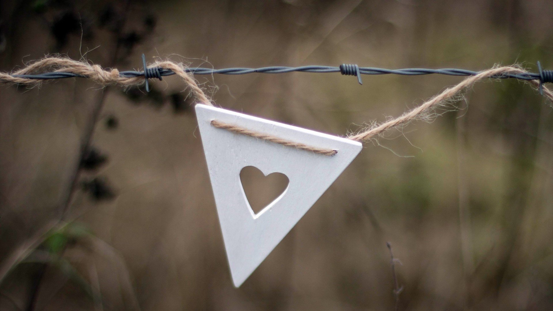 爱情美图,心动创意