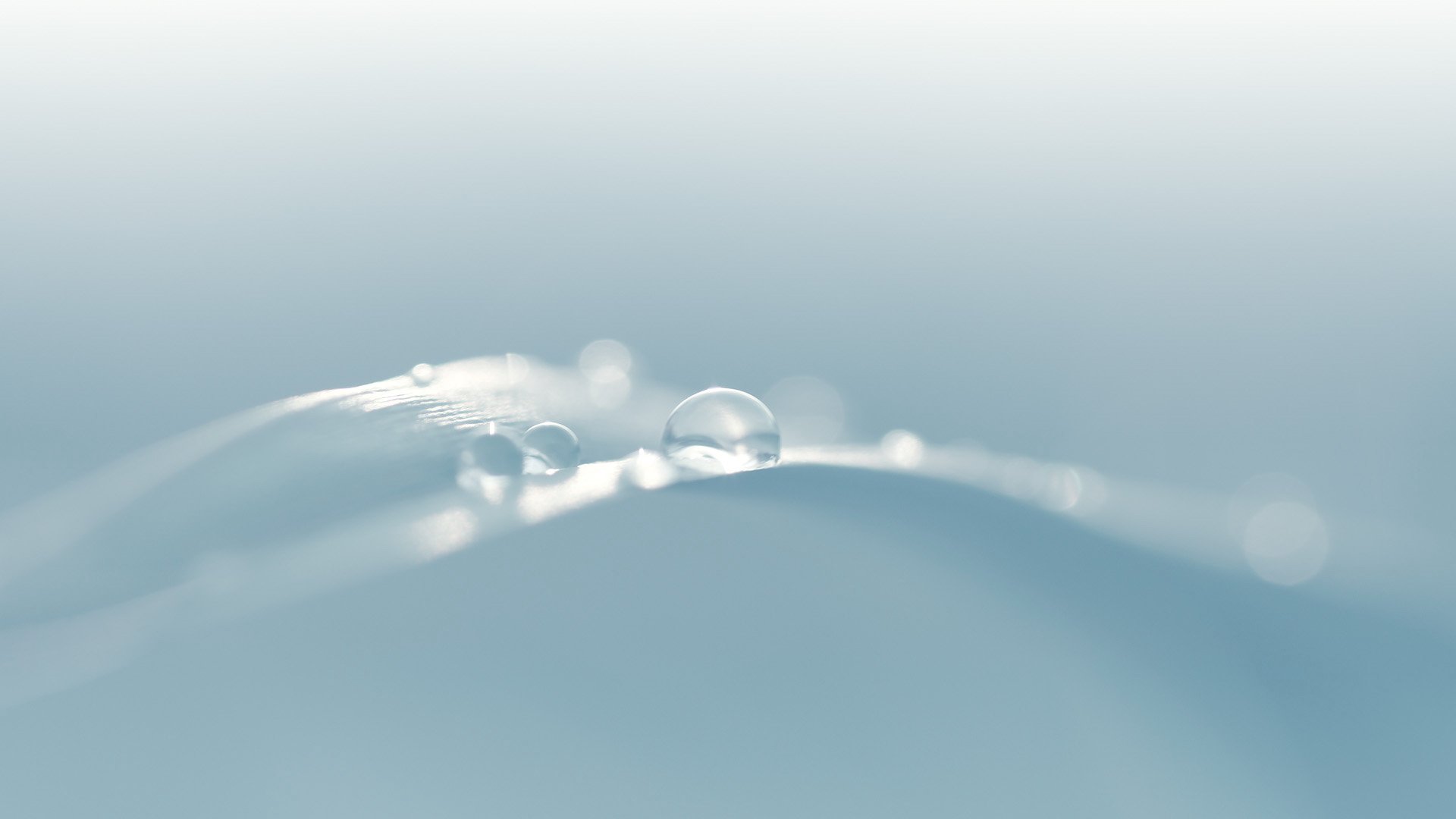 创意,简约,儿童桌面专用