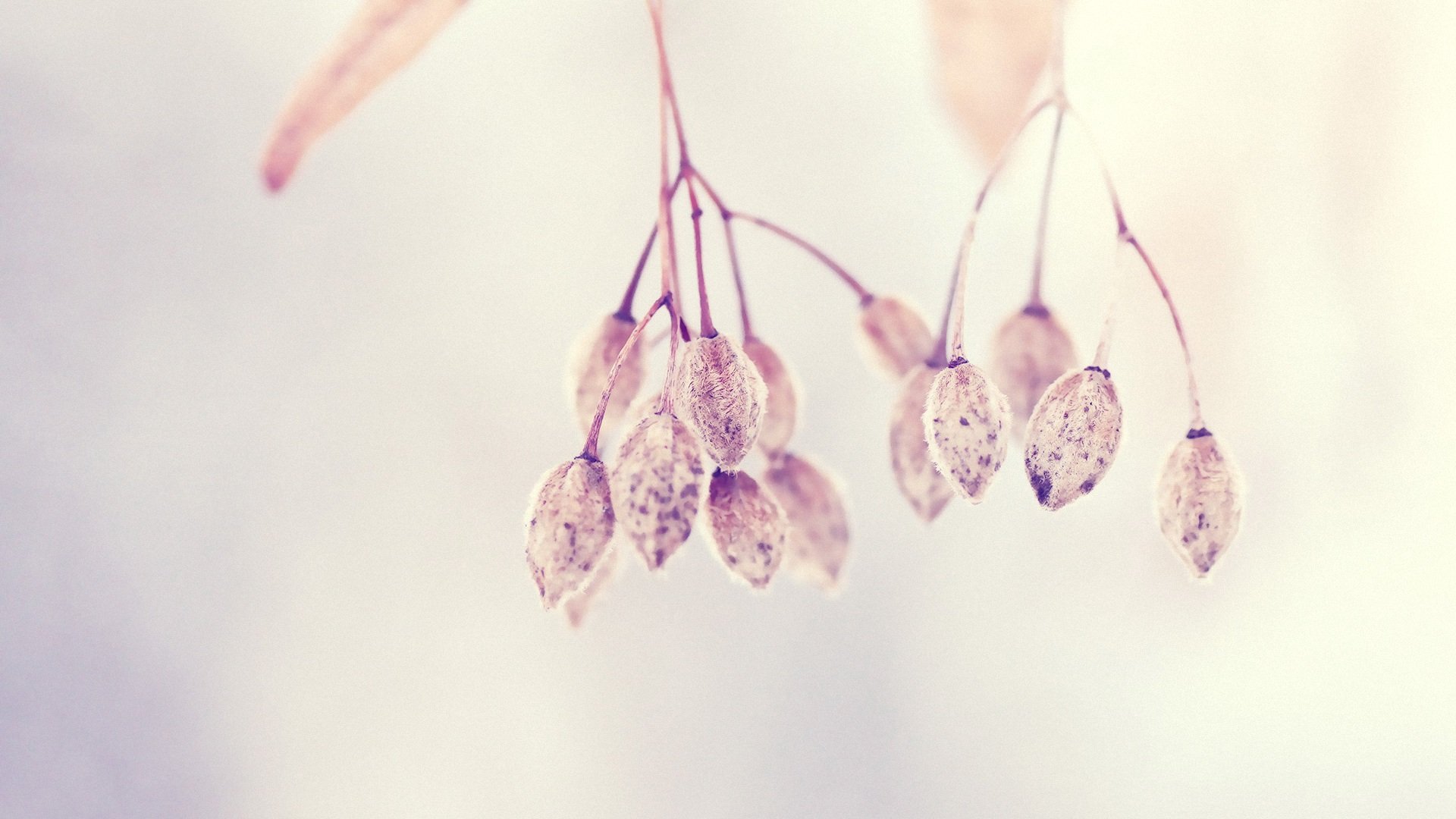 小清新,清新淡雅,儿童桌面专用