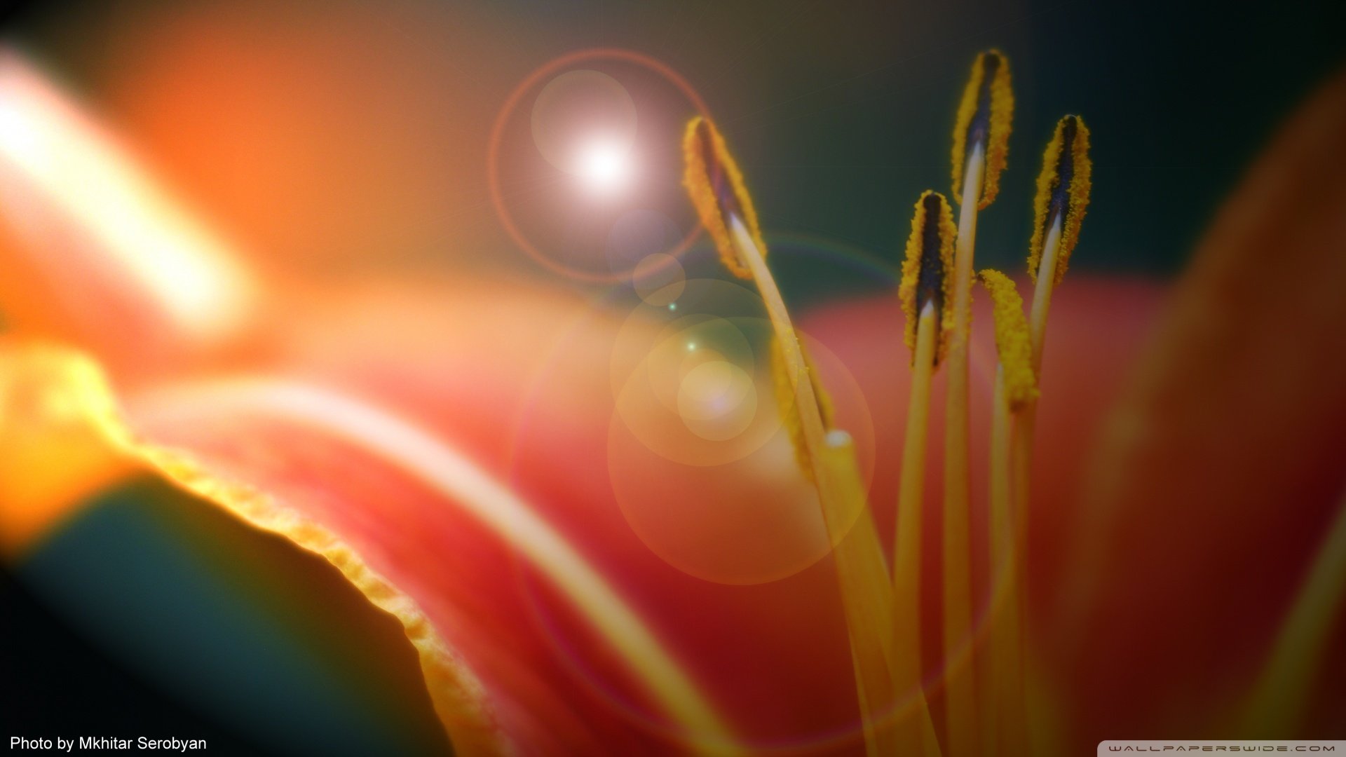 小清新,清新淡雅,儿童桌面专用