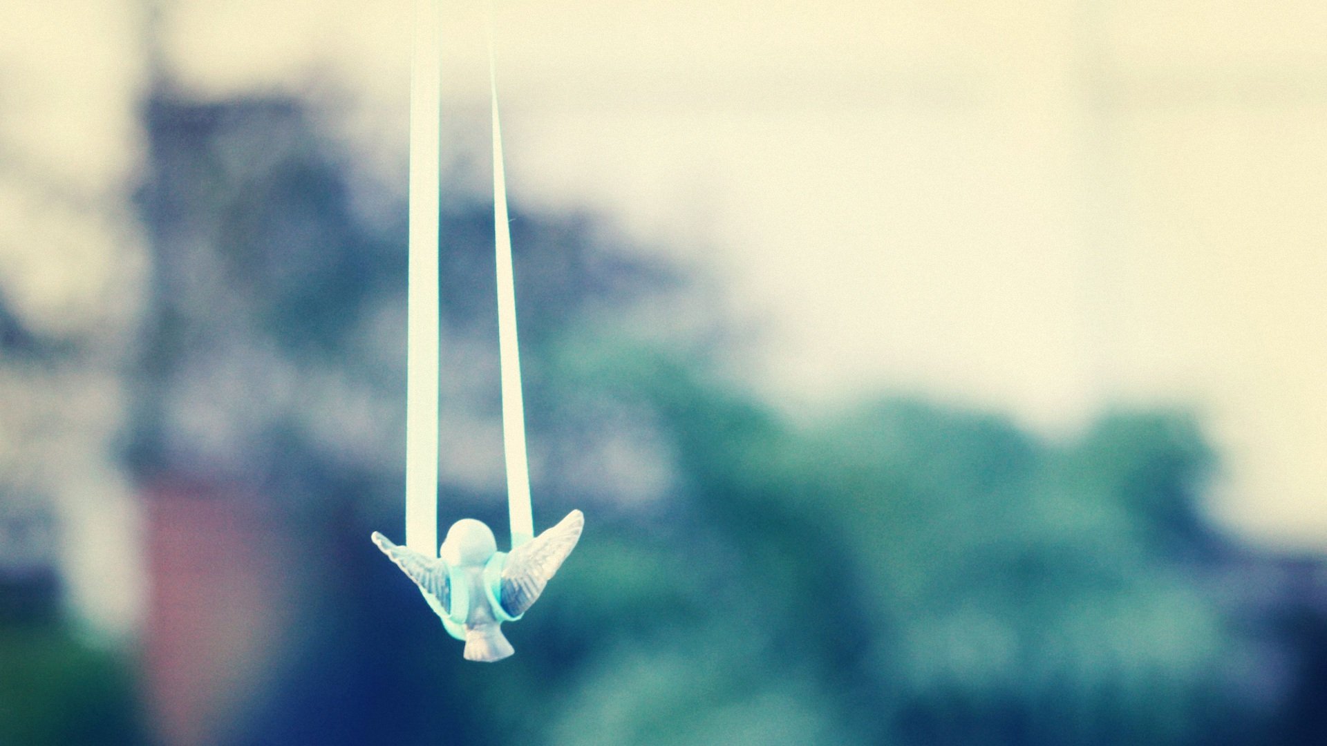 小清新,静物写真,儿童桌面专用