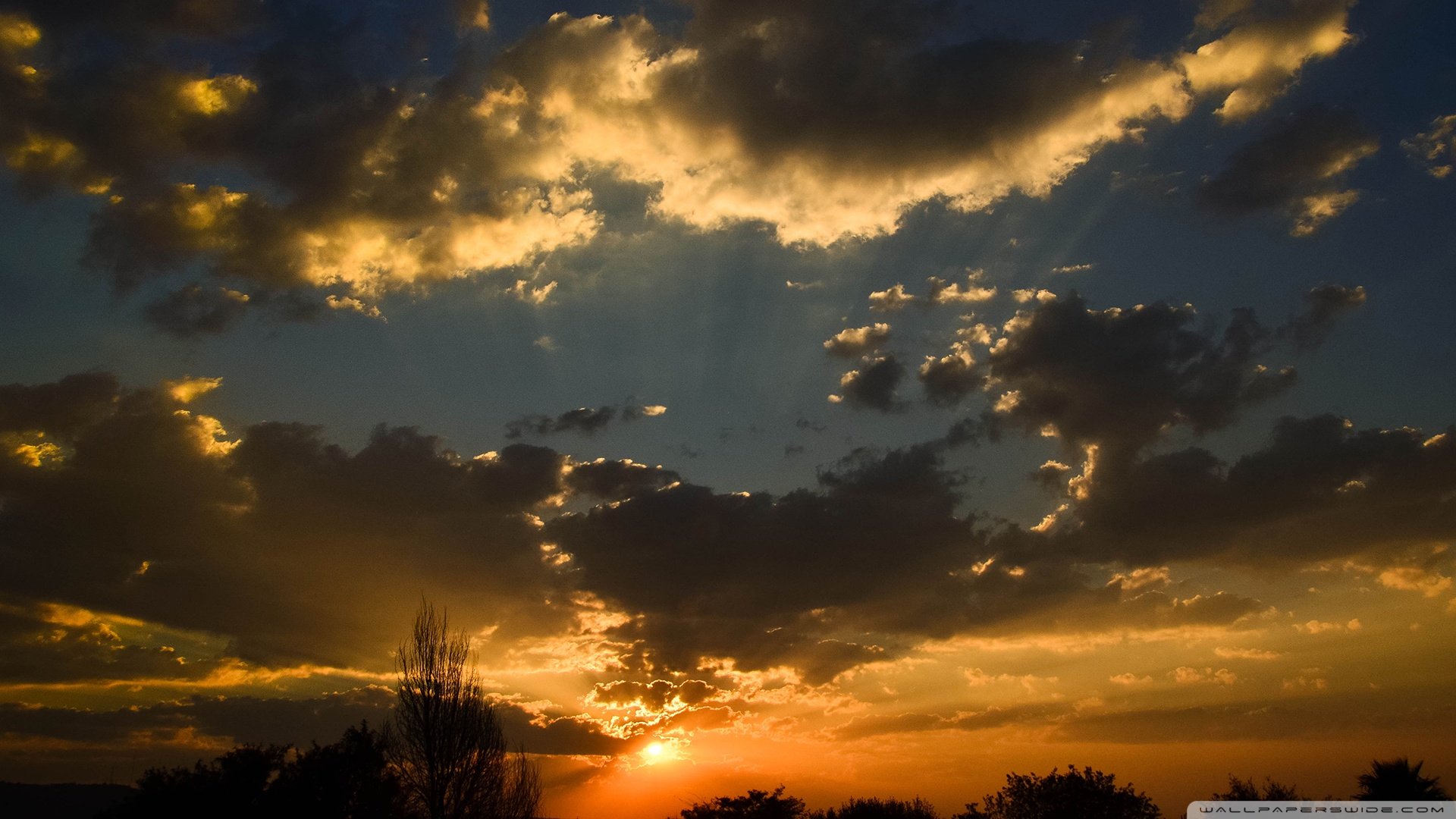 风景,落日余晖,儿童桌面专用