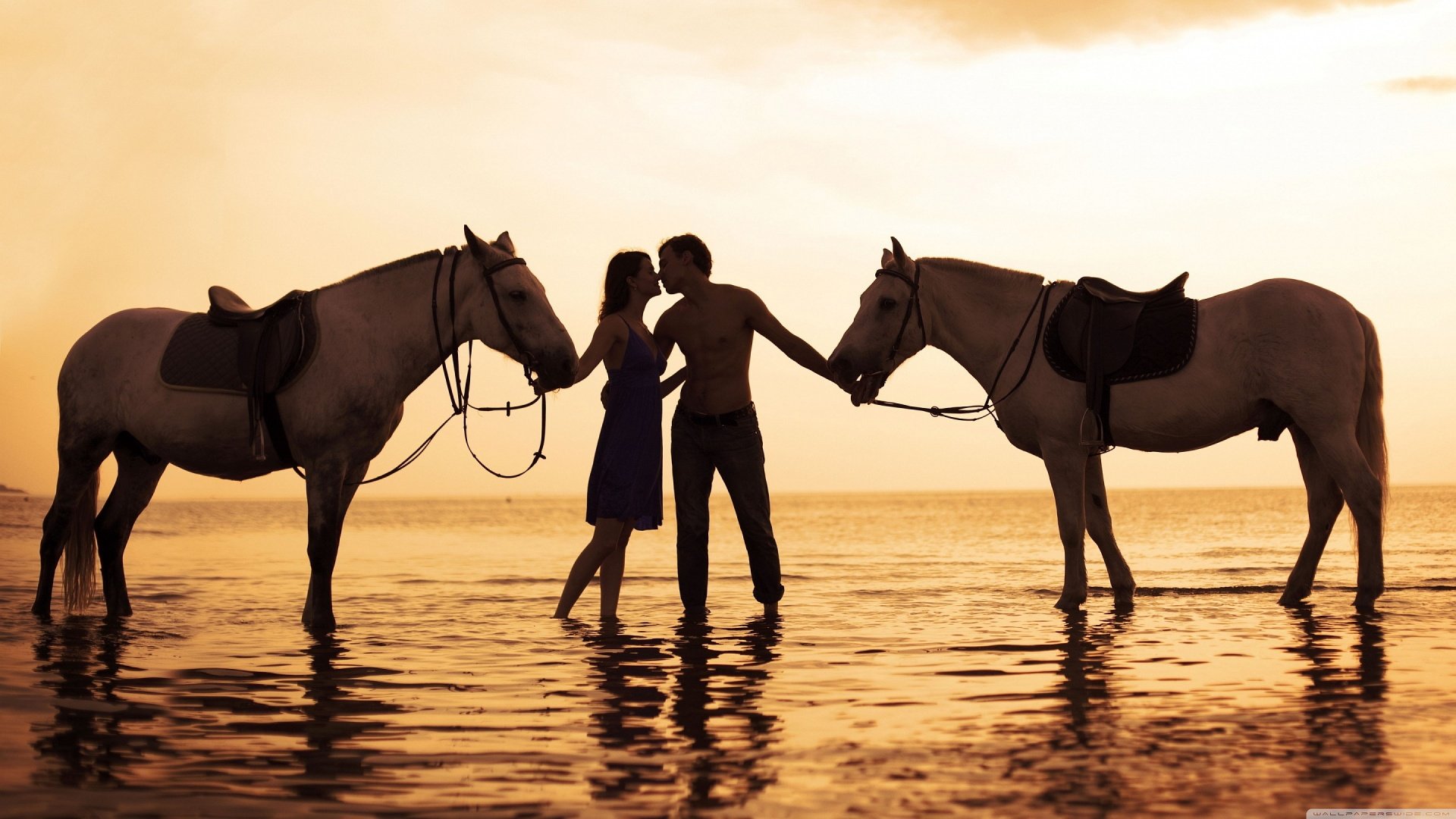 爱情,唯美温馨,情侣