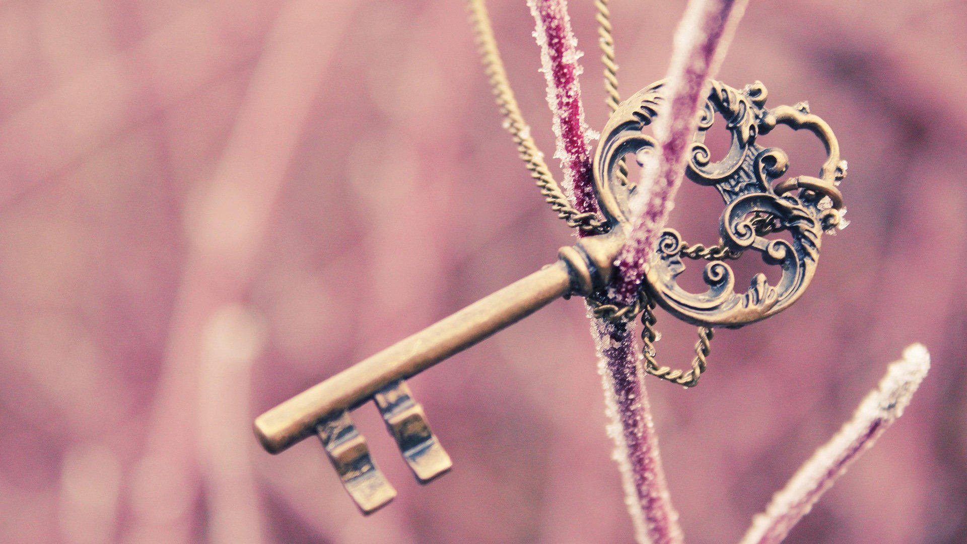 小清新,清新淡雅,儿童桌面专用