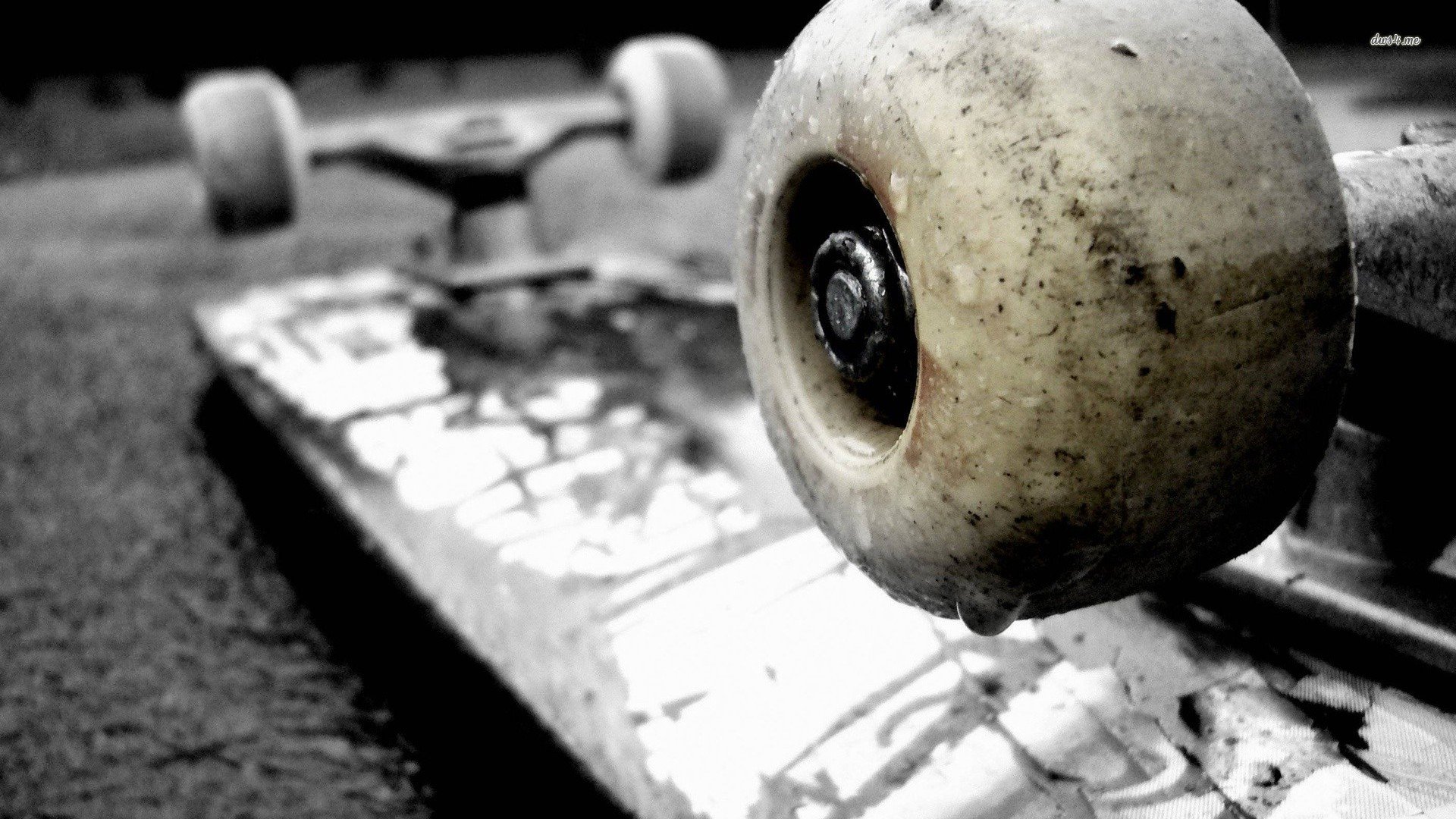 小清新,静物写真