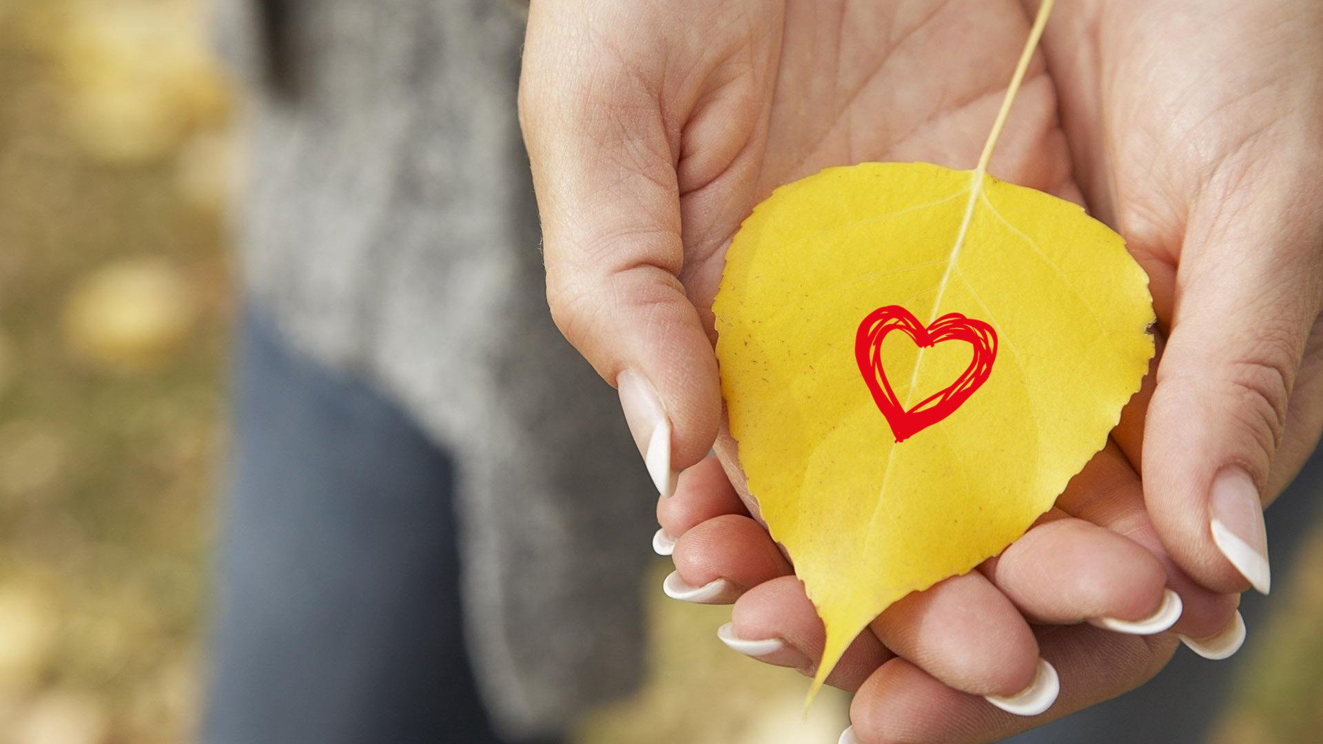 爱情美图,唯美温馨,捧在手心里的爱