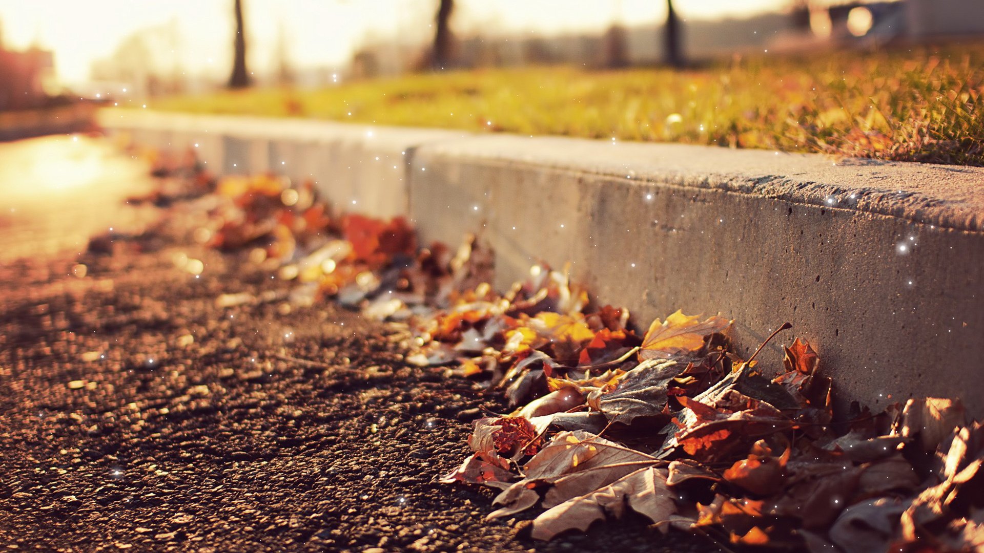 小清新,清新淡雅,儿童桌面专用