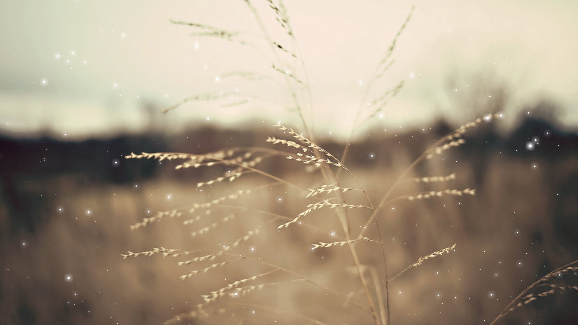 小清新,温馨一刻,儿童桌面专用