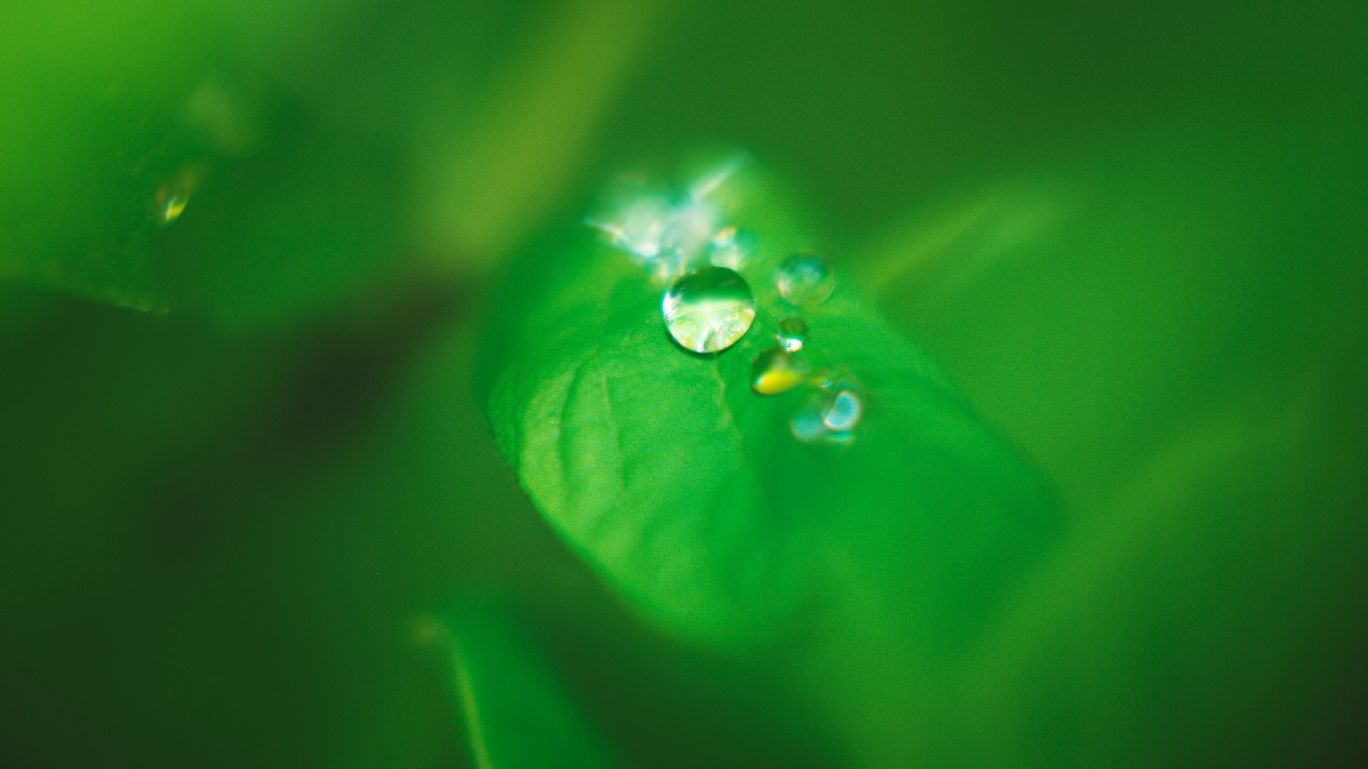 小清新,护眼壁纸,儿童桌面专用