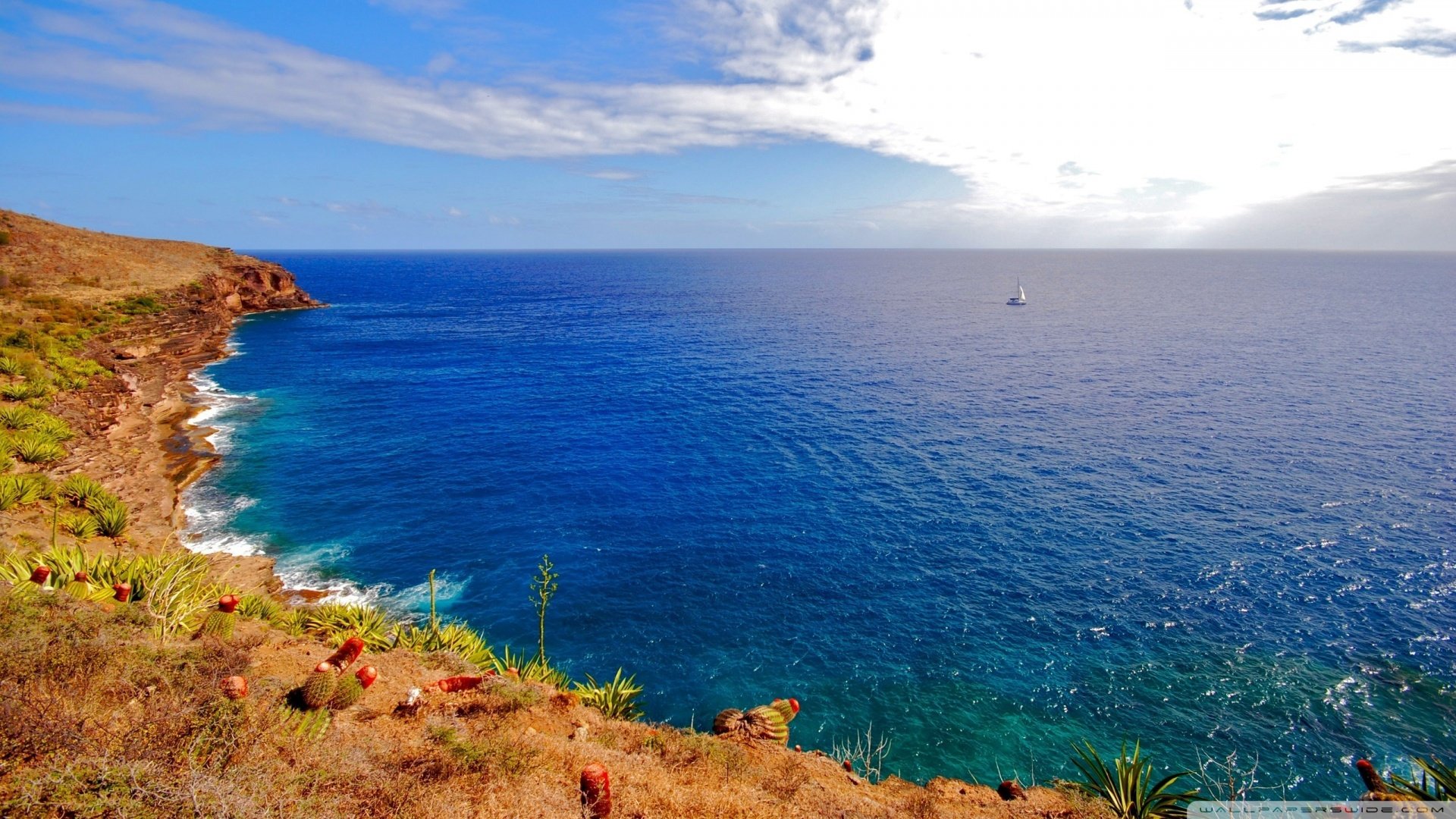 风景,海洋天堂,儿童桌面专用