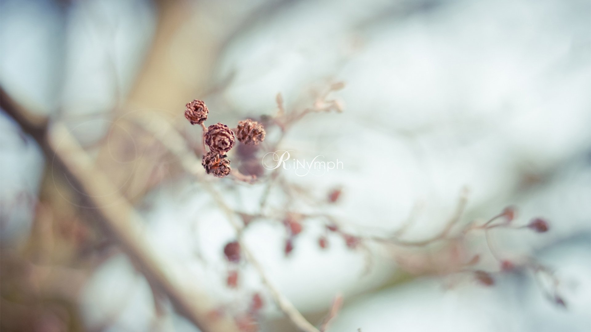 小清新,清新淡雅,儿童桌面专用