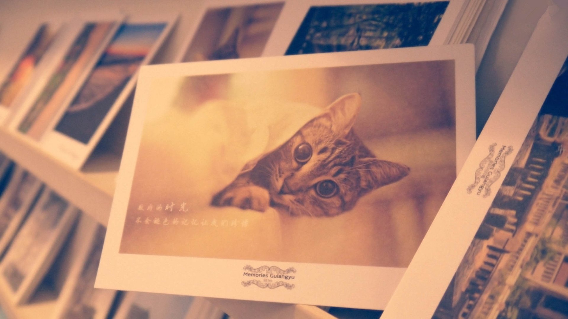 小清新,温馨一刻,1月18日,儿童桌面专用