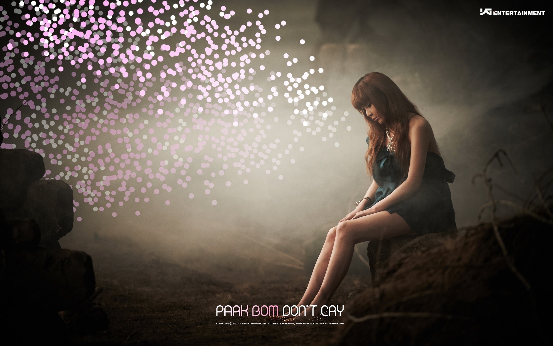 日韩,女明星,朴春丽,2月22日