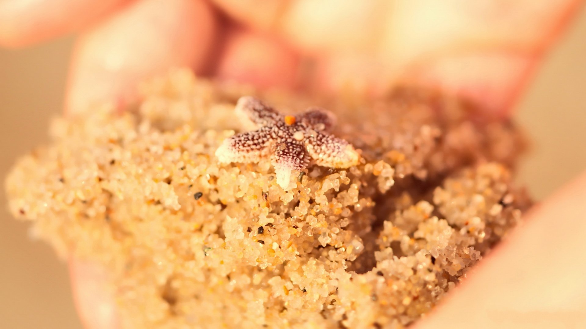 小清新,温馨一刻