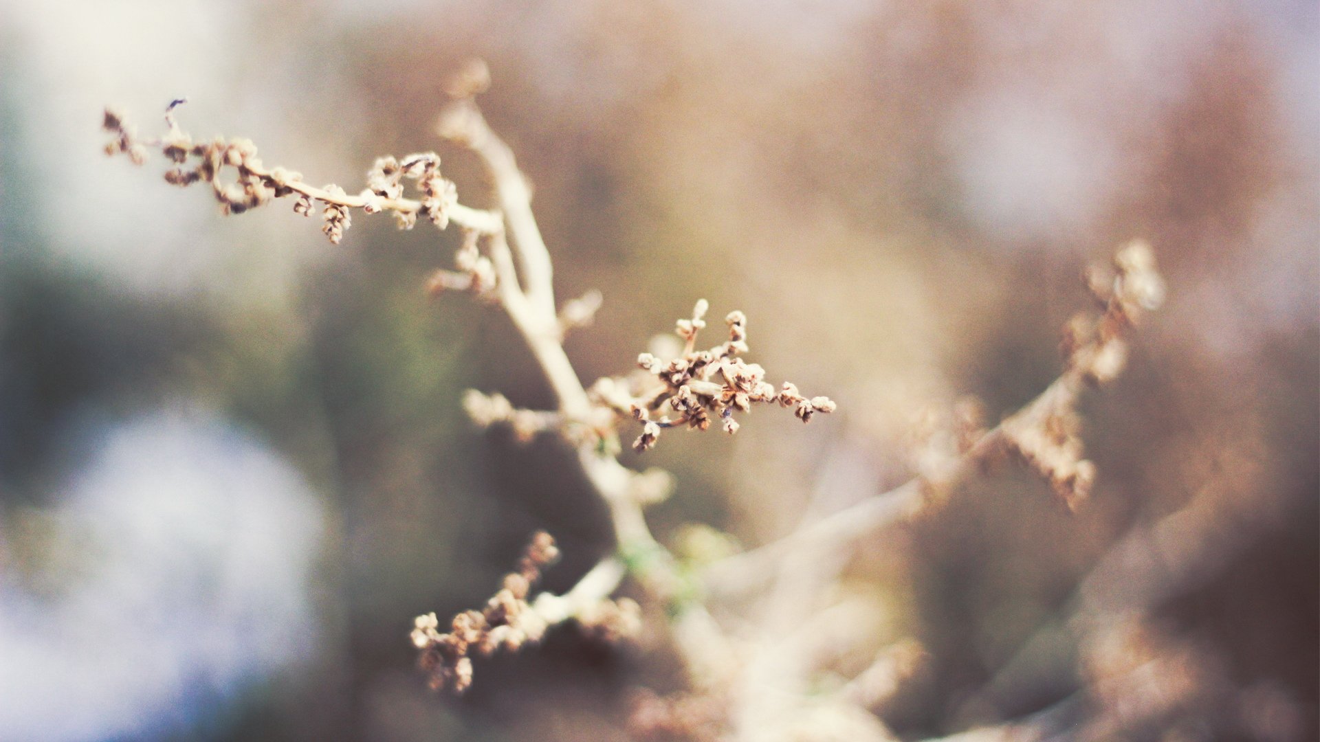 小清新,静物写真,儿童桌面专用