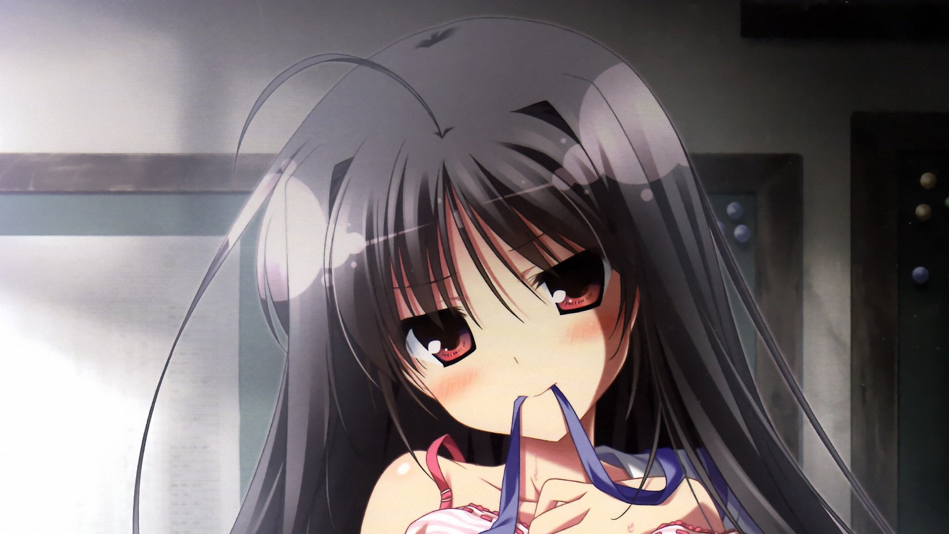 动漫,夏空的英仙座