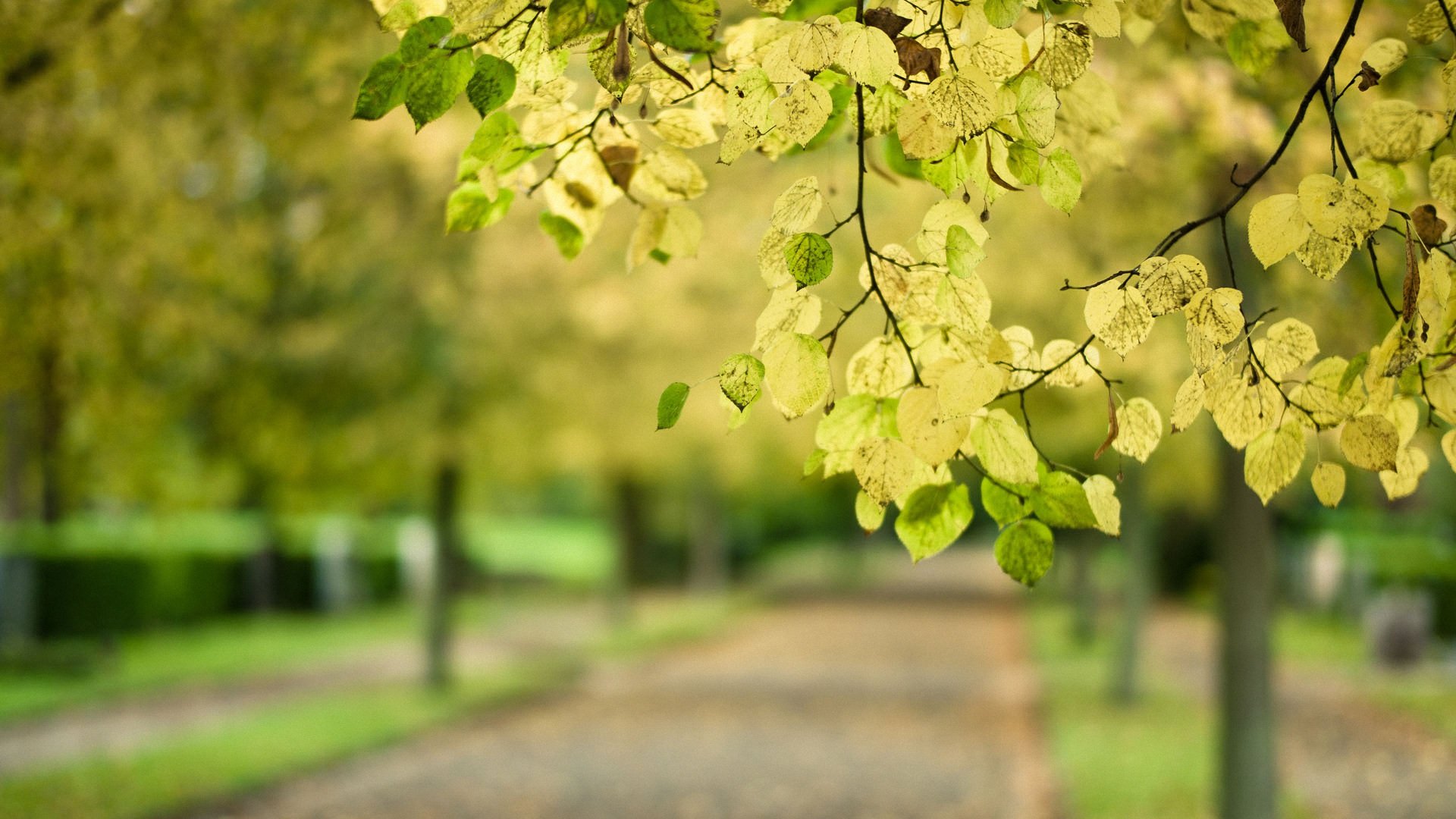 小清新,温馨一刻,儿童桌面专用