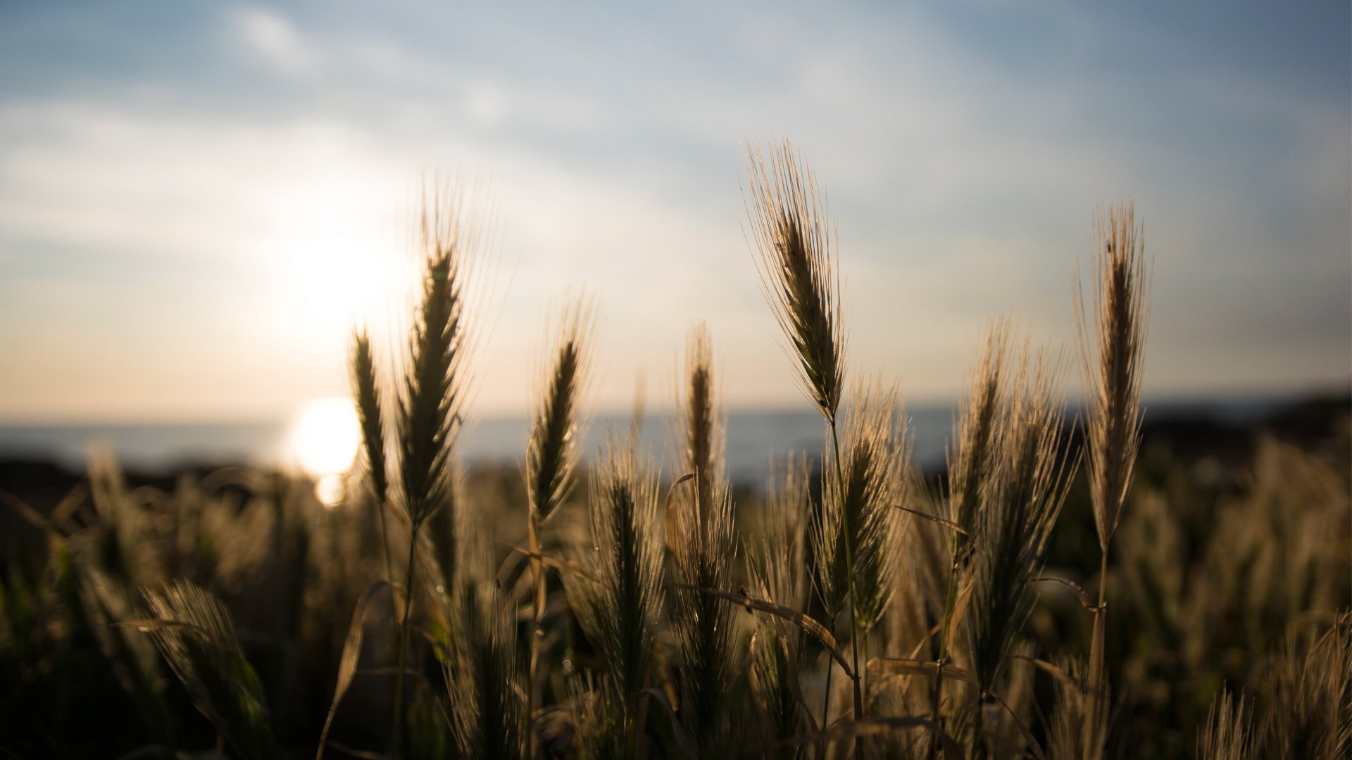 小清新,温馨一刻