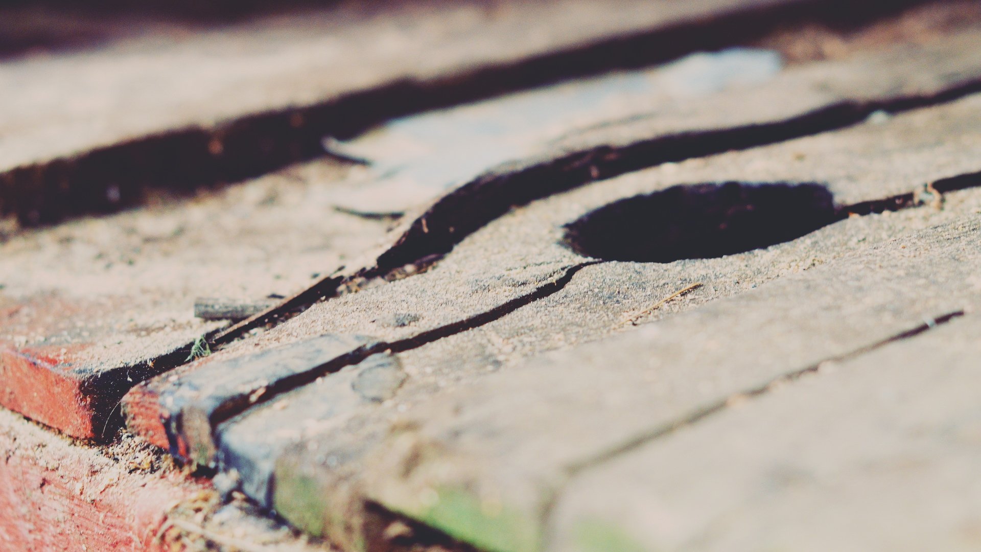 小清新,静物写真