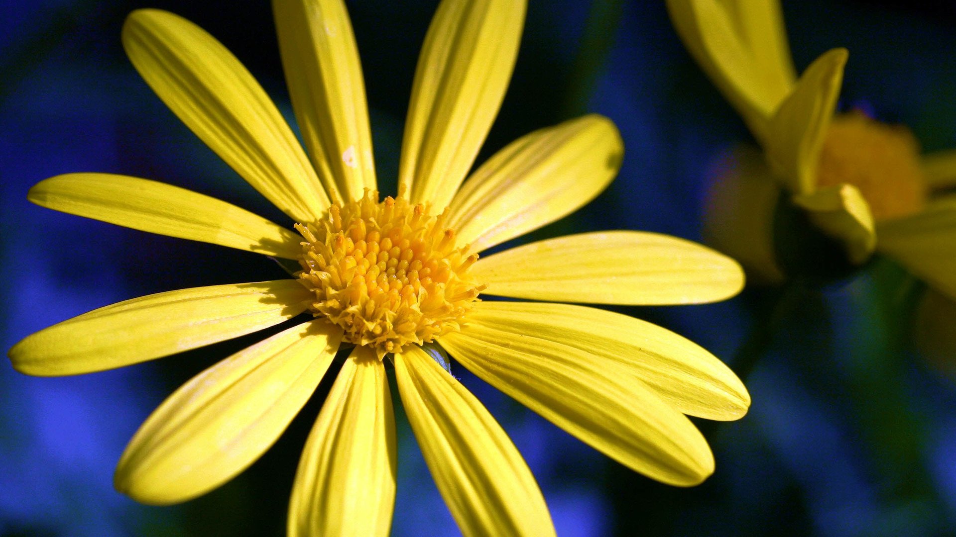 小清新,清新淡雅,儿童桌面专用