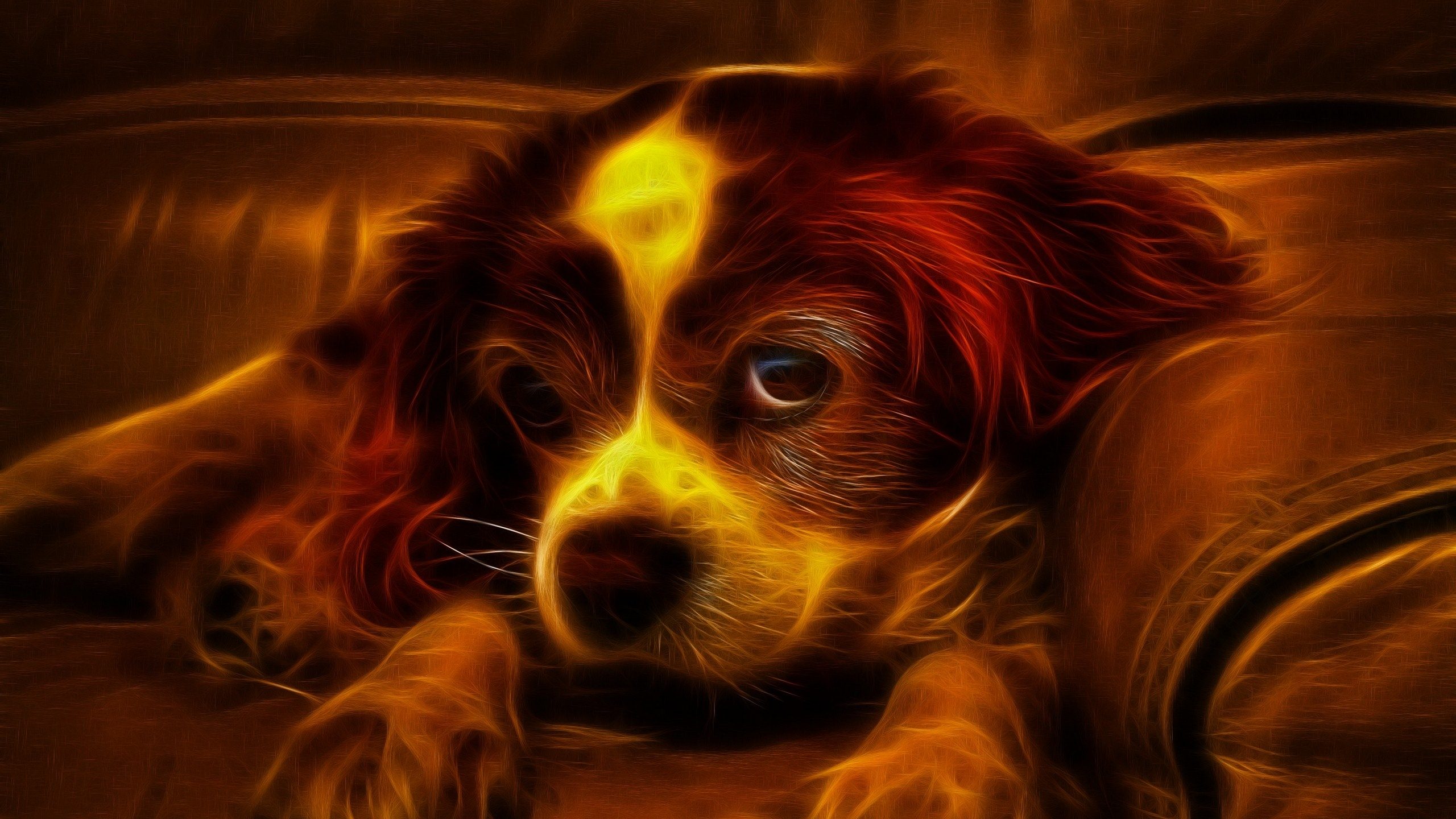 萌宠,汪星人,儿童桌面专用