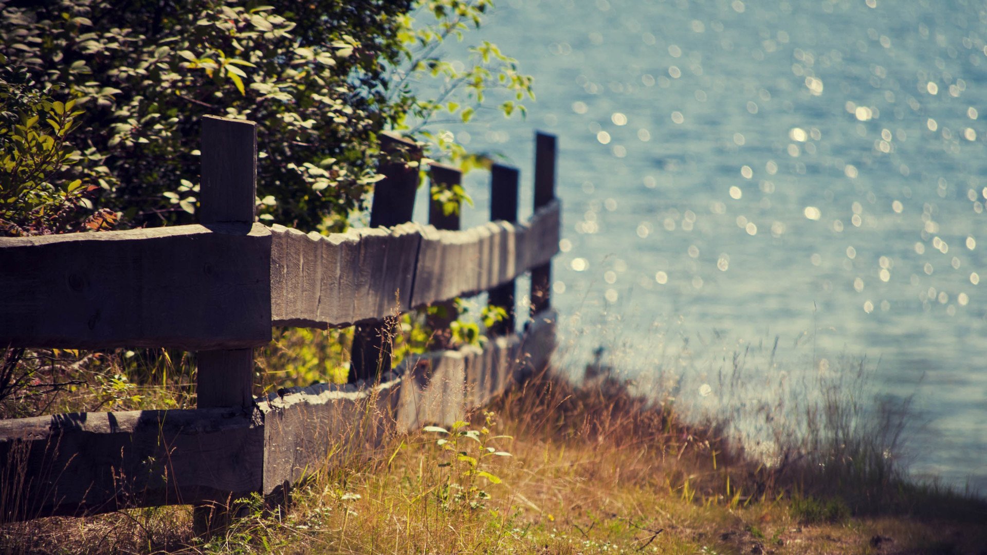 小清新,舒缓压力