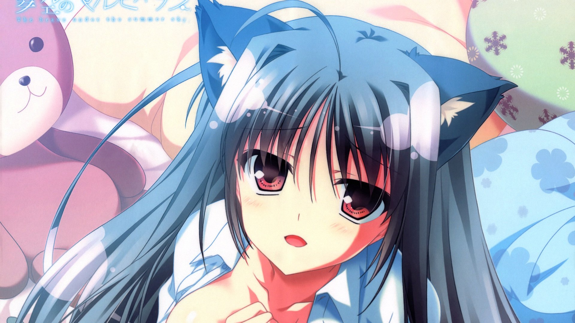 动漫,夏空的英仙座